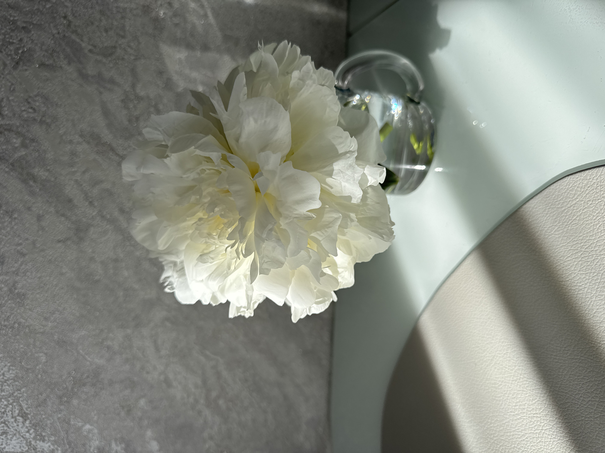 The image captures a top-down view of a pristine white flower, likely a peony, resting in a clear glass vase. The flower is the central subject, featuring numerous delicate, layered petals that appear soft and voluminous.
The vase, situated to the right of the flower, is made of clear glass with a simple, rounded form. Reflections and refractions on its surface create bright, sparkling highlights.
The background consists of several distinct surfaces. To the left, a textured grey surface with an irregular, wavy pattern resembles marble or concrete. Small, out-of-focus bright specks are scattered across this surface. To the right of the flower and vase, a smooth, light teal or pale green surface is visible, possibly a tabletop or shelf. In the bottom right corner, a section of a light beige or off-white material with a distinct, fine-grained texture, suggestive of leather or upholstery, forms another part of the background.
The scene is well-lit from the upper right, casting defined shadows across the surfaces and adding depth to the flower's petals. The strong, directional light implies an indoor setting during daytime.
There are no people or visible text in the image. No specific activity or event is taking place; it's a still life composition. The image's location context is Sochi, Russia, though no visual cues confirm this. The overall impression is one of calm and subtle elegance.