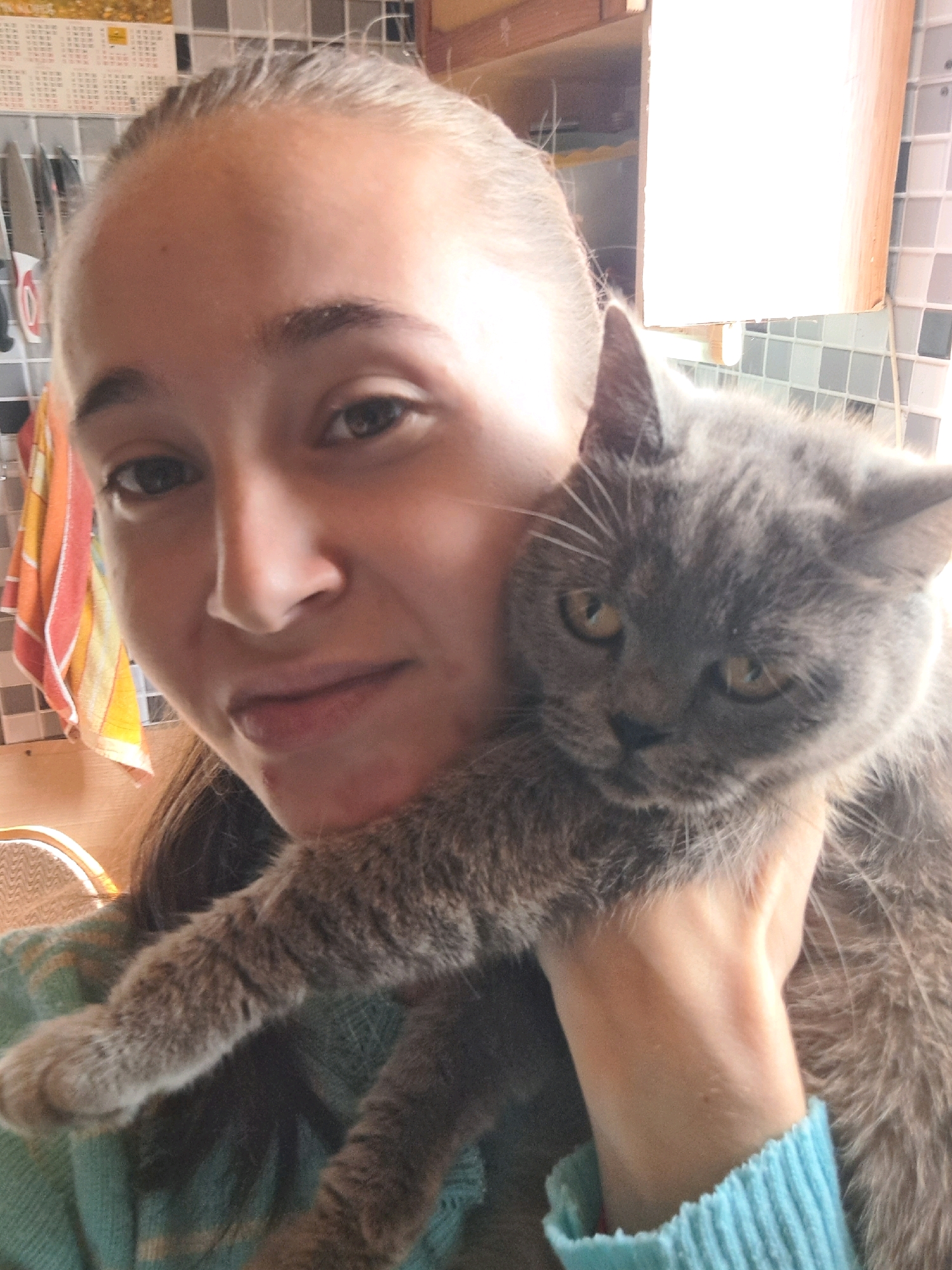 A young female, possibly in her late teens or early twenties, is holding a grey cat against her chest. She has her hair pulled back in a ponytail and is looking towards the camera with a slight smile. The cat is grey and appears to be a British Shorthair breed, with its head resting on her shoulder. The background shows a tiled wall and a wooden shelf, suggesting an indoor setting, possibly a kitchen. There are also some towels hanging in the background. The image is taken from a slightly high angle, looking down at the subjects. The lighting is bright, with a strong light source coming from the right side of the image, creating some overexposure on the right side of the scene. There is no specific information about the location in Vypasne, Ukraine that can be inferred from this image.