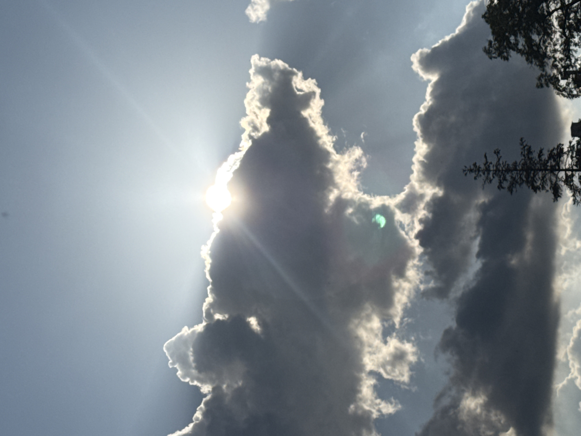 The image shows a bright sun partially obscured by gray clouds, with beams of light radiating outwards. A tree branch appears on the right side of the frame. The sky is otherwise clear and blue. The location of the image is unknown.