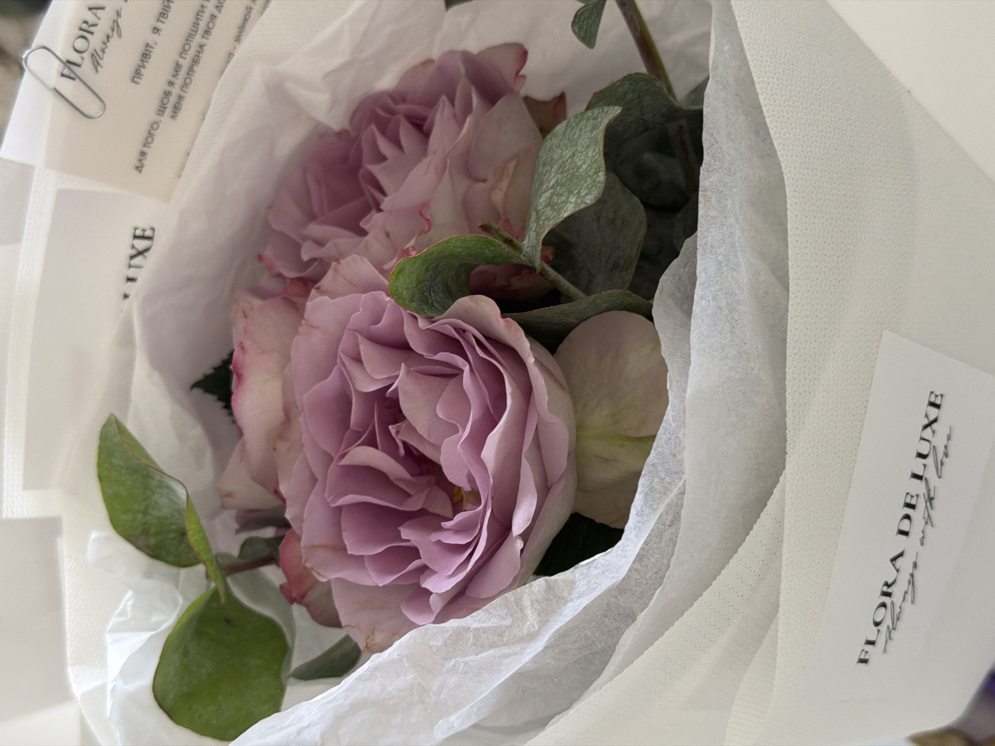 The image displays a close-up, overhead view of a bouquet of light purple roses, partially wrapped in white tissue paper. The roses are in various stages of bloom, with delicate petals. Green foliage is interspersed among the flowers. Two small, white cards are visible. One card, secured by a silver paperclip, has text in a script font that appears to say "FLORA Always with love". Below this, there is text in a smaller font. Another card is visible towards the top of the image, also with text. The overall lighting is soft and natural, suggesting an indoor setting. There is no visible indication of a specific location within the city of Khmelnytskyi, Ukraine. The image is a still life focused on the floral arrangement.