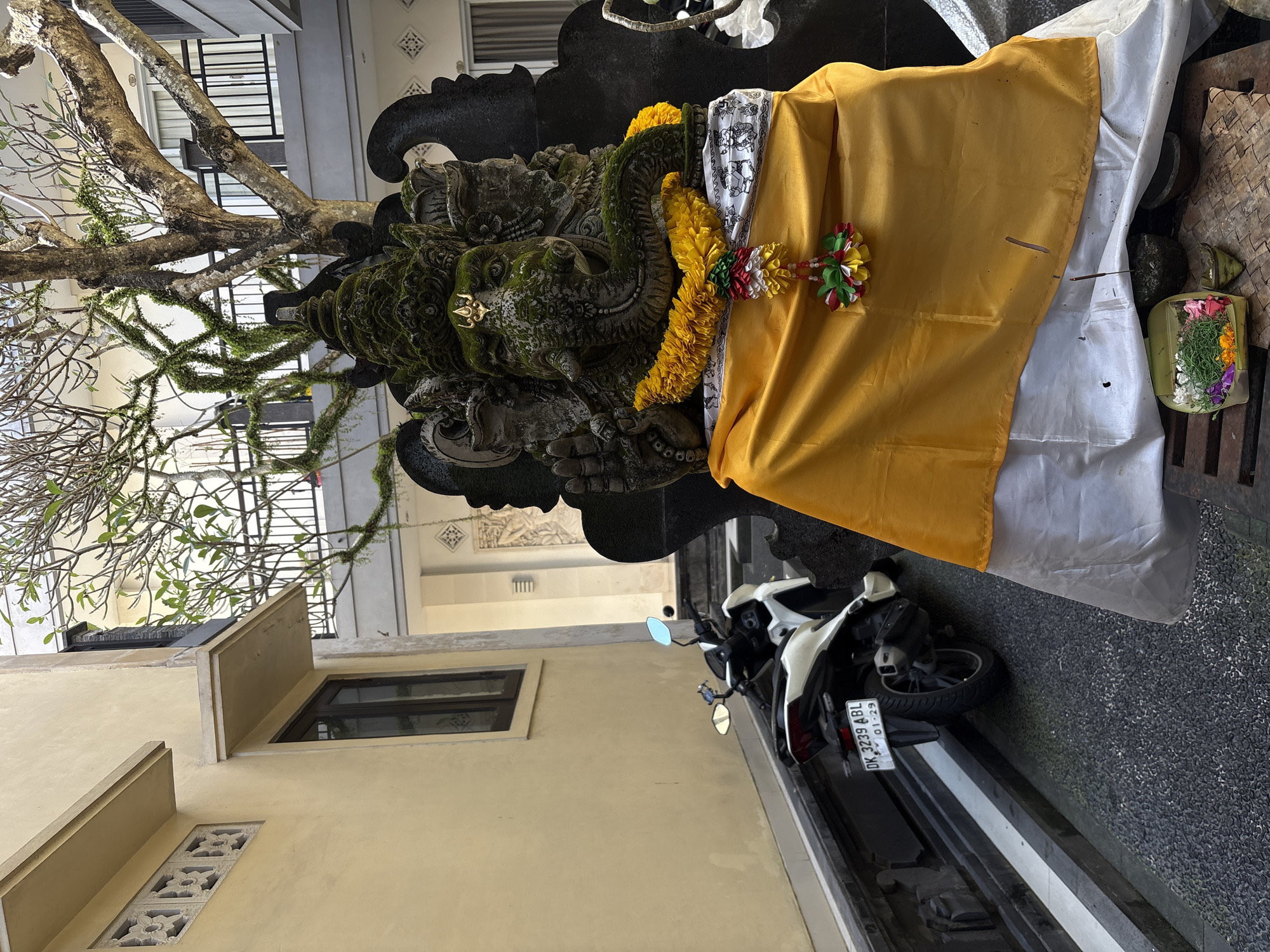 In a courtyard with a paved ground and a light-colored building on the left, a statue of Ganesha, covered in moss, stands adorned with a yellow flower garland and draped with yellow and white fabric. To the left of the statue, a white motorcycle with a license plate that reads "DK 3239 ABL" is parked. A tree with branches partially covered in moss is visible behind the statue. The environment suggests an outdoor setting, possibly a temple or a residential courtyard, with architectural elements of buildings visible in the background. There are no people present in the scene.
