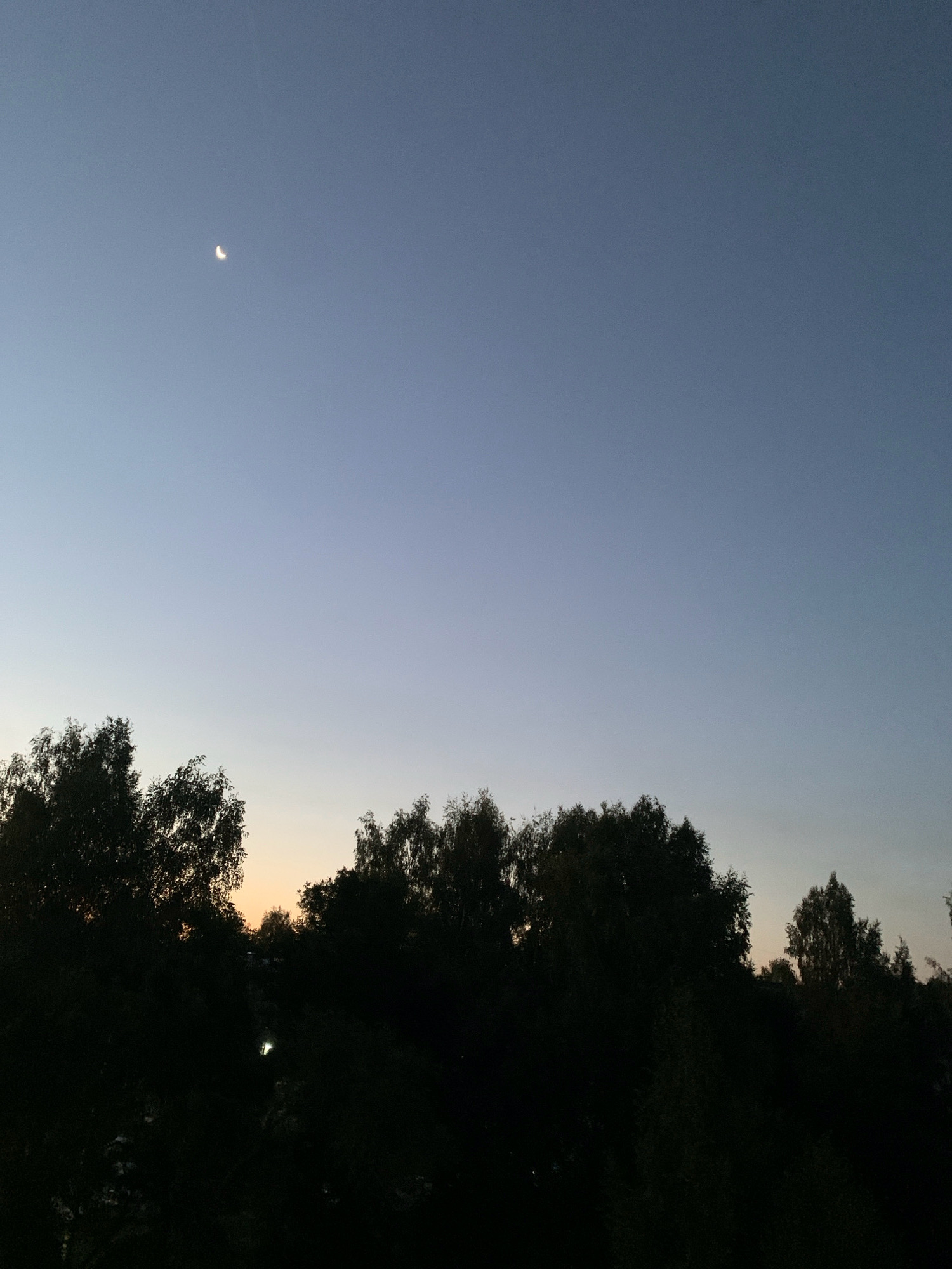The image captures a twilight scene with a sliver of the crescent moon visible in the upper left quadrant of the clear, gradient sky, transitioning from a pale blue to a lighter hue near the horizon. Silhouetted against this sky is a line of dense trees forming the top edge of a dark, indistinct landscape. In the lower portion of the image, a faint, bright light is visible amidst the foliage, possibly a distant streetlamp or artificial illumination. The overall impression is one of a quiet, possibly rural or suburban, evening setting, without any human presence directly depicted. The location is identified as Prokopyevsk, Russia.