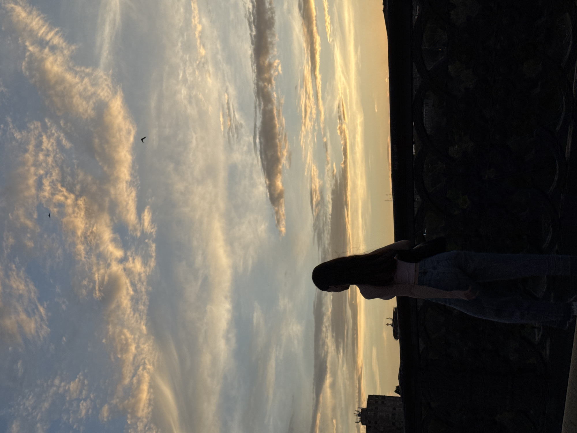The image captures a solitary female figure in silhouette, standing on an elevated urban structure, likely a bridge or overpass, during either sunrise or sunset. The individual, characterized by long, dark hair and wearing a light-colored crop top and dark jeans, faces away from the viewer, looking towards the horizon. The foreground consists of a dark, robust railing and a patterned wall below it, possibly featuring arched structural elements. To the left of the frame, a distinct multi-story building, characteristic of Soviet-era architecture, stands in silhouette against the sky. Other faint urban structures are visible further right. The upper two-thirds of the image are dominated by a sky displaying scattered stratocumulus or altocumulus clouds, illuminated by warm orange, pink, and yellow light from the low sun, set against a cooler blue-grey backdrop. Two small bird silhouettes are visible in the sky: one in the upper right and another closer to the center. The architectural elements and urban setting align with features commonly found in the city of Yerevan, Armenia.