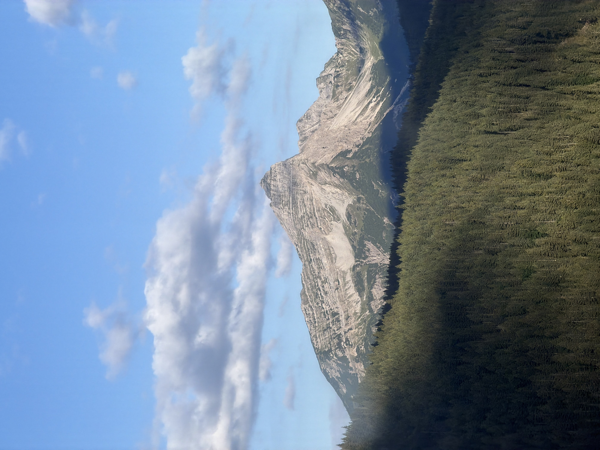 This is a vertical, medium-shot, eye-level photograph of a vast mountain range in Grainau, Germany. The sky is a vibrant blue with scattered white clouds. In the foreground, a dense forest of dark green evergreen trees covers a hillside. A shadow from the left side of the frame falls across the forest. Behind the trees, a rugged mountain rises, its peak sharp and jagged. The mountain's slopes are layered with rock and patches of green vegetation, with stark, light-colored rock faces exposed in places. The overall impression is one of natural grandeur and rugged beauty.