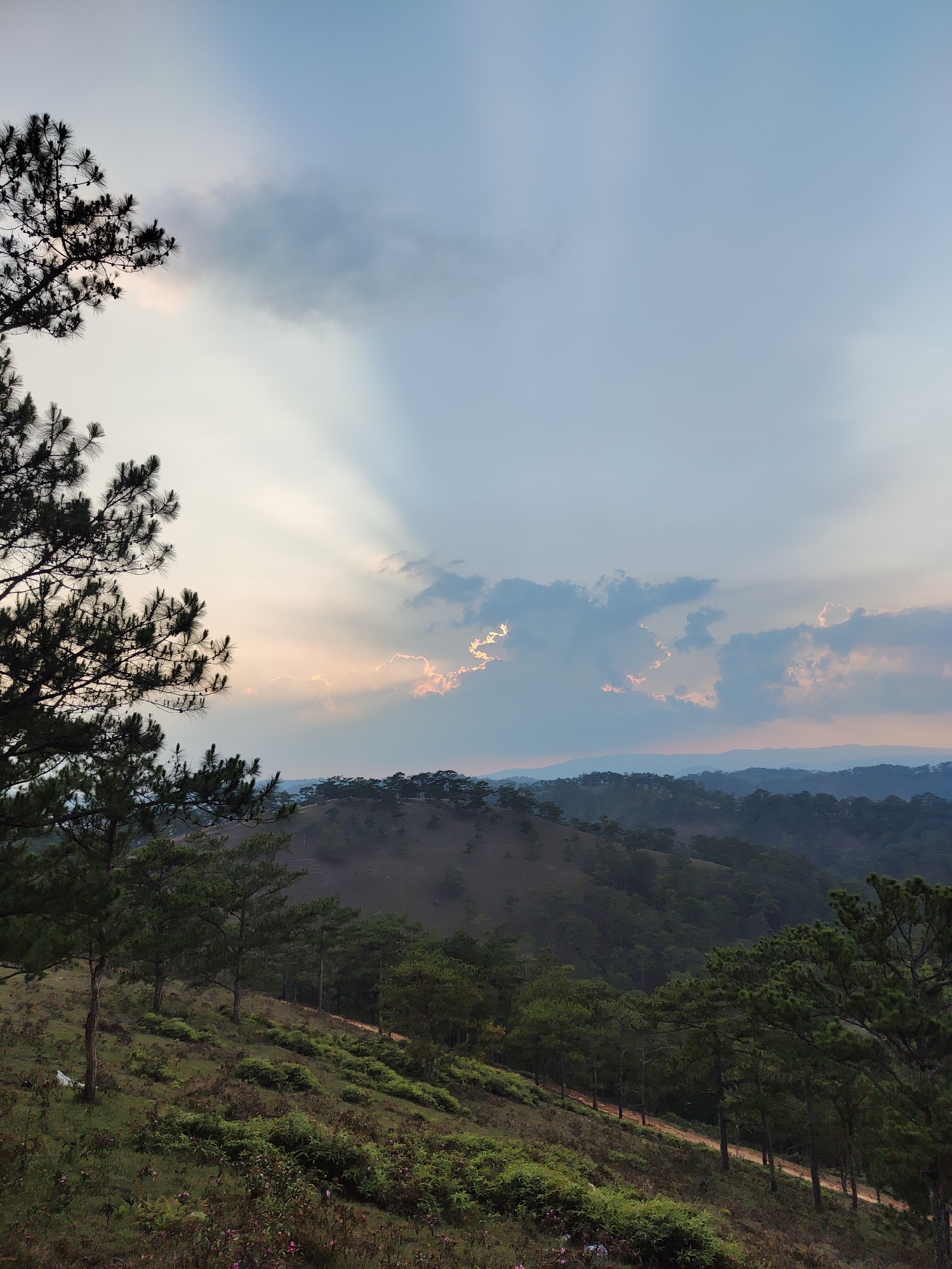 The image captures a landscape in Lạc Dương, Vietnam, featuring a hilly terrain covered in pine trees and shrubs. The foreground shows a sloping hillside with sparse vegetation and some flowers. A dirt road or path runs along the lower right side of the frame. In the midground, layered hills covered in dense forest lead to a higher, more barren hilltop dotted with trees. The sky is partially cloudy with sunlight breaking through, creating crepuscular rays. The light suggests either sunrise or sunset, casting a warm glow on the clouds and distant hills. A tree is visible on the left side. There are no people or animals visible in the image.