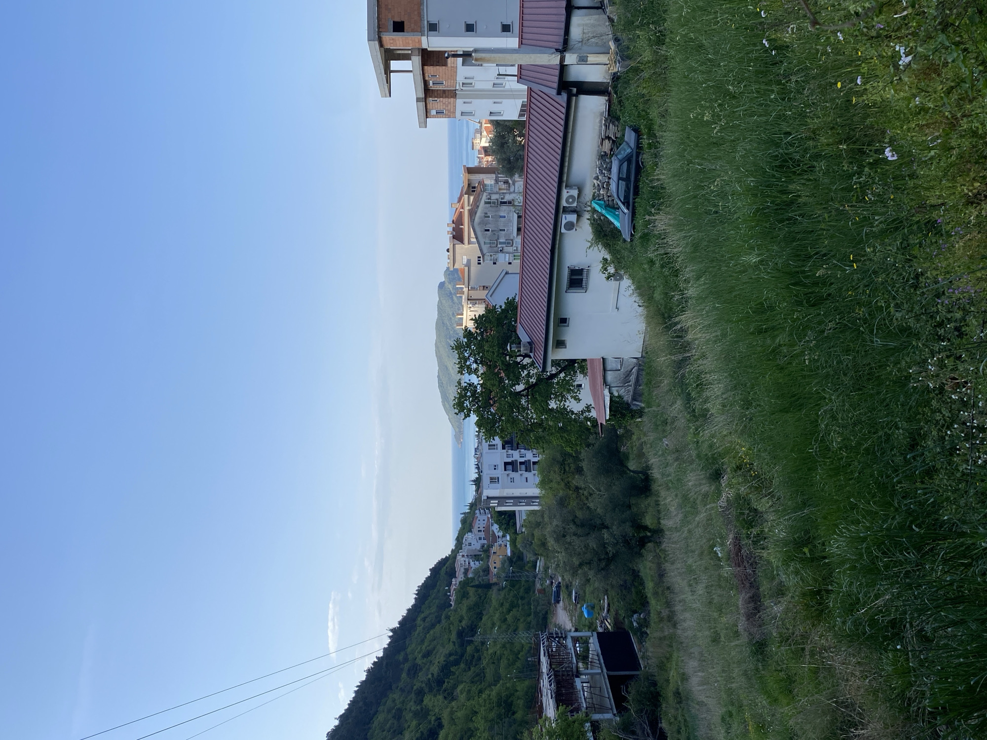 This image captures a panoramic view of a coastal town, likely Budva, Montenegro, from an elevated perspective. The clear, bright light blue sky, devoid of clouds, dominates the upper left, indicating fair weather, likely in the morning or late afternoon.
In the immediate foreground, to the right, is an unkempt grassy slope with tall green and yellowing blades, interspersed with small white and yellow wildflowers. An old, dark-colored sedan is partially visible and appears discarded within this overgrown area.
The mid-ground features a mix of buildings and nature. To the right, a multi-story building is under construction, with brickwork and concrete frames clearly visible. Adjacent to it stands a finished white building with a distinctive reddish-brown tiled roof and two exterior air conditioning units. A large, mature tree with dense green foliage occupies the center-midground, partially obscuring other structures. Further down the hillside, towards the sea, numerous residential buildings with varying architectural styles and colors are nestled among the green, forested slopes.
In the background, a serene expanse of the light blue sea meets the horizon. Distant, forested hills frame the left side of the view, extending towards the coastline. Power lines are visible running across the lower left section of the frame.
No human activity or visible text is discernible in the image. The scene presents a blend of urban development, natural landscapes, and elements of neglect.