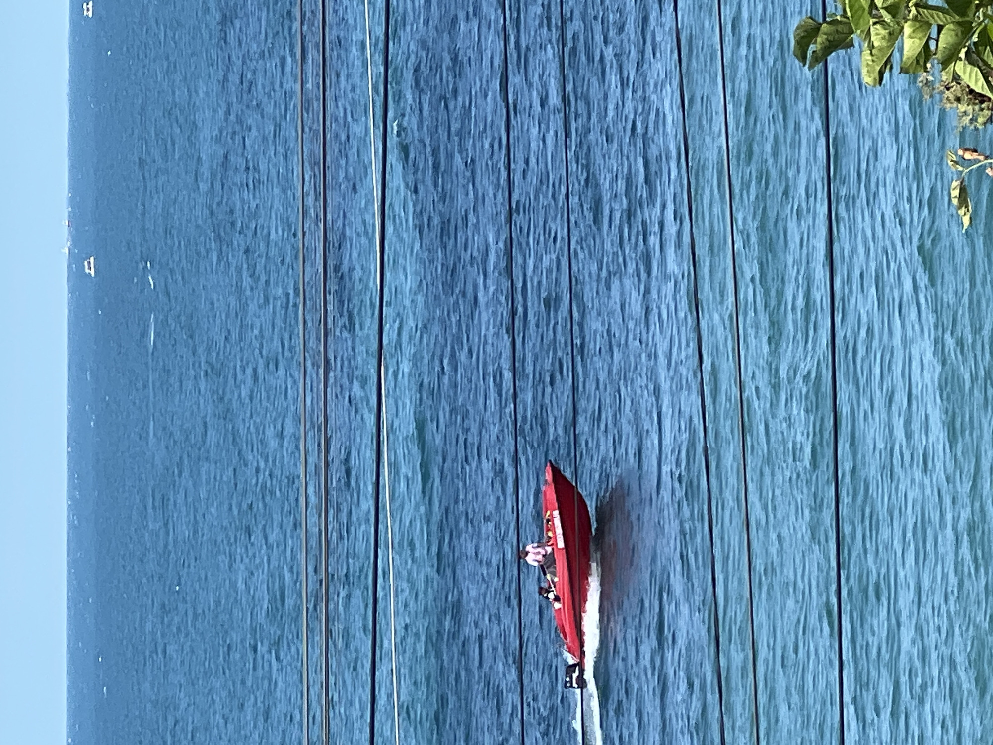 A bright red speedboat navigates through choppy blue water. The boat appears to be moving at a significant speed, creating a white wake behind it. Three individuals are visible in the boat, wearing what appear to be life jackets or life vests. One person is at the helm, steering the boat, while the other two are seated behind them. The water has a textured, rippled appearance, suggesting it is either windy or the boat is creating the turbulence. Several dark, vertical lines run parallel across the image, obscuring parts of the water; these could be cables or wires. To the top right of the image, a branch with lush green leaves and some small white flowers is visible, suggesting the presence of trees and foliage nearby. The sky is a clear, pale blue. The overall scene evokes a sense of recreational activity on the water, possibly during daylight hours given the brightness and clear sky. No text is visible in the image.