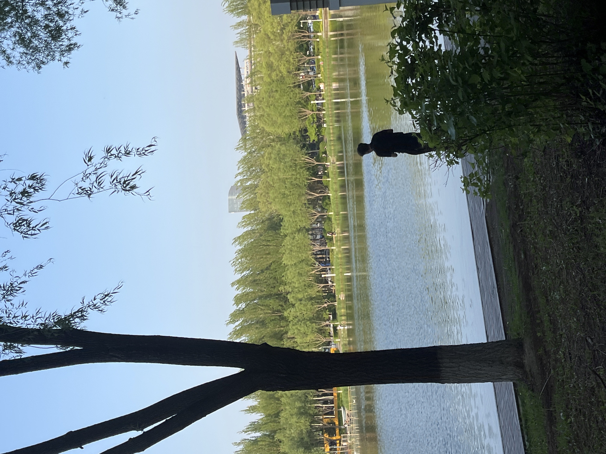The image depicts a lake scene in Changchun City, China. The photograph appears to be taken from near the water's edge with a tree and its branches in the foreground. In the center, a lake extends horizontally. The water's surface shows some minor ripples. Along the far side of the lake is a dense row of trees, with buildings and a stadium visible in the background. A person is standing in the water, partially obscured by a tree with dense foliage on the right side of the image. The sky is light blue.