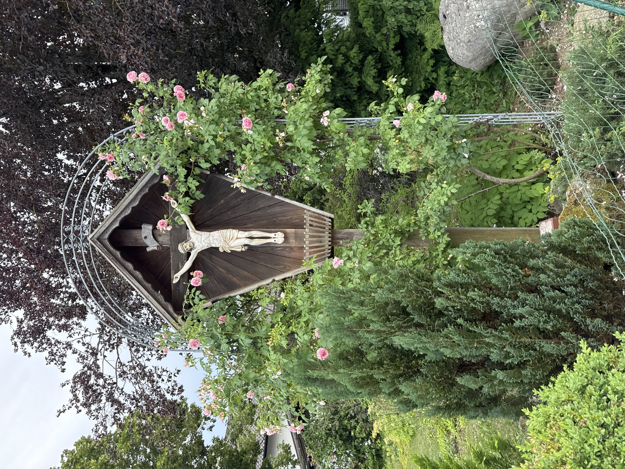 A crucifix is displayed in a garden in Höhenkirchen-Siegertsbrunn, Germany. The crucifix is made of wood with a statue of Jesus Christ. It is surrounded by a rose bush with pink flowers. In the background, there are trees, bushes, and a large rock. The sky is overcast. The area appears to be a residential garden.