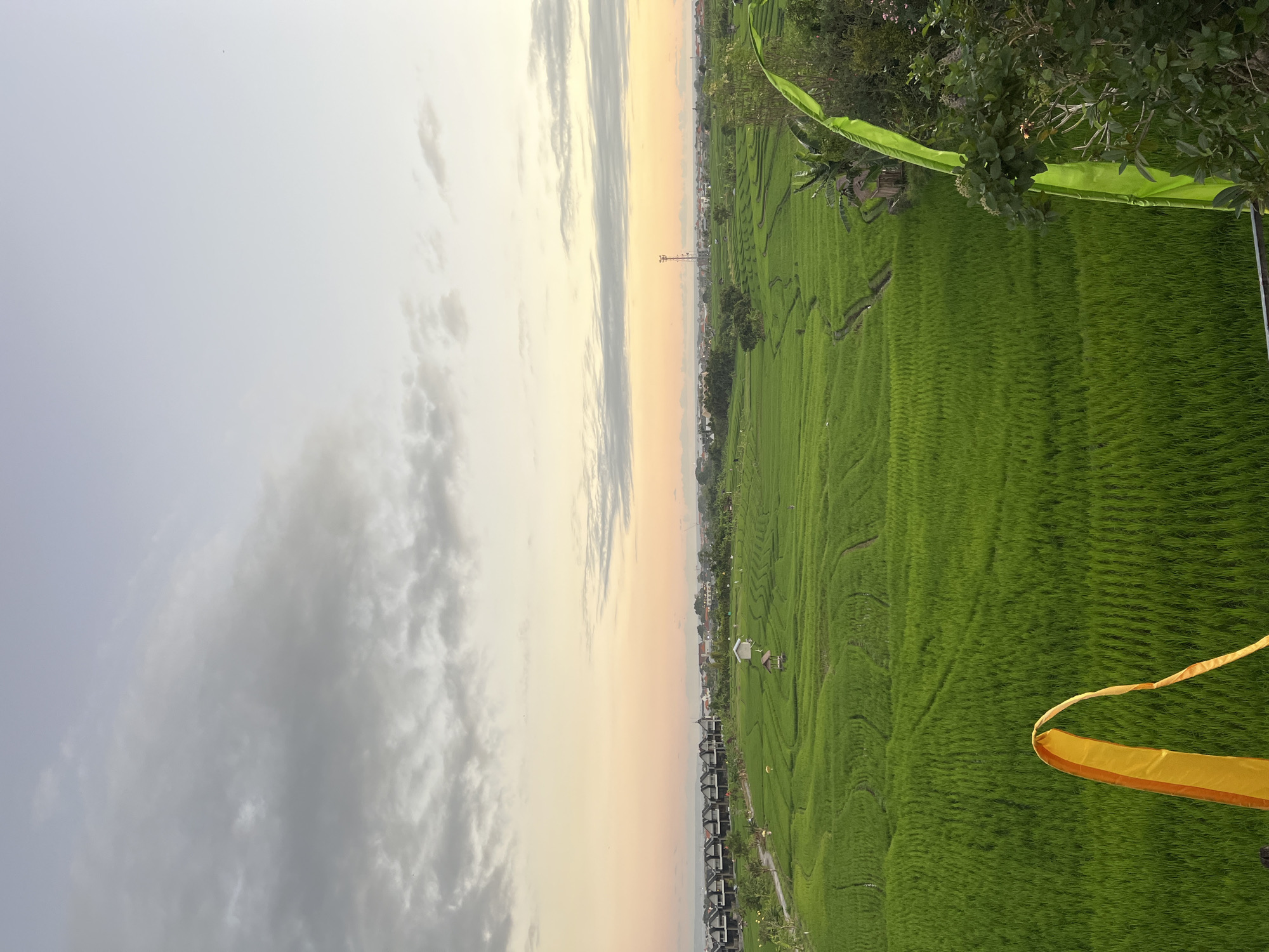 This image depicts a wide, panoramic view of lush green rice paddies in North Kuta, Indonesia, likely taken during the golden hour of either sunrise or sunset. The sky above is a soft gradient of pale blue, transitioning to a warm orange and pink hue near the horizon, with scattered clouds.
In the midground, a row of modern houses with dark roofs stretches across the landscape. Beyond the houses, the rice fields exhibit intricate terracing, with narrow pathways winding through them. Several small, traditional huts are visible within the paddies, suggesting agricultural activity. A tall communication tower is prominent in the distance, situated amidst a cluster of buildings that form part of a town or village.
In the foreground, on the right side of the image, vibrant green foliage and a bright green flag are visible, partially obscuring the view of the rice fields. On the left side, a yellow and orange striped flag is also present, adding a splash of color to the scene. The overall impression is one of a tranquil rural landscape juxtaposed with signs of modern development. There are no visible people or animals in the frame.