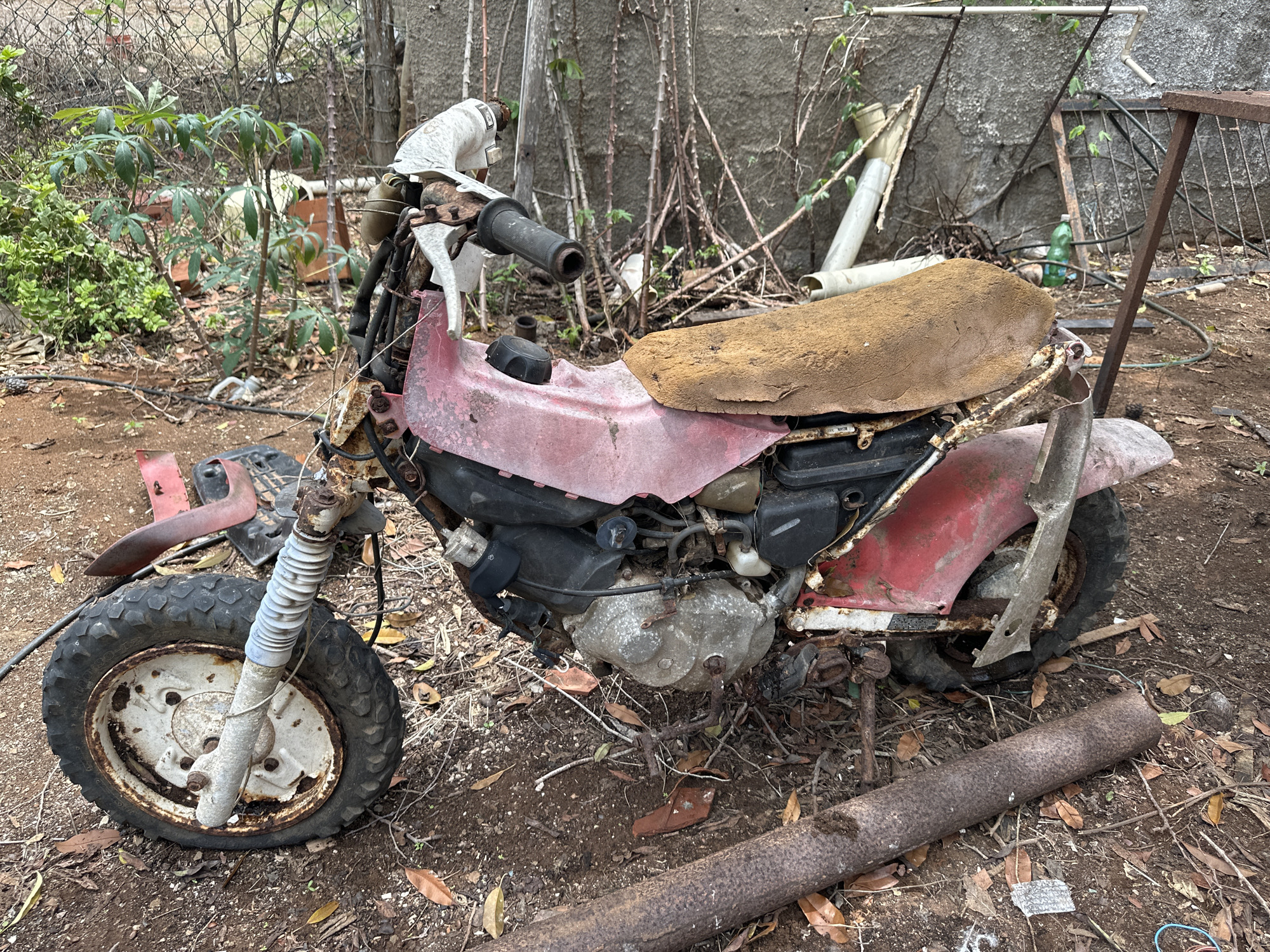 The image displays a derelict small motorcycle or moped, heavily corroded and seemingly abandoned, situated on reddish-brown dirt ground in an outdoor, overgrown area in Sabana de Guacuco, Venezuela.
The motorcycle, positioned centrally, is predominantly faded red with significant rust damage to its metallic components. The front section features a rusted handlebar assembly with white levers and a black grip on the right side. The front fork, light grey/white, is heavily rusted at its junctions. The front wheel has a white-painted rim, extensively chipped and rusted, fitted with a thick-treaded rubber tire. A black fuel cap is visible on the upper frame. The seat is a rough, rectangular block covered in a deteriorated, light brown, coarse material. The engine casing and exposed frame components are covered in grime and rust. The rear wheel, similar to the front, exhibits a heavily rusted rim and a robust tire. A fragmented, rusted metal rear fender or support structure is visible near the rear wheel.
The ground surrounding the motorcycle is loose, reddish-brown earth, littered with dry brown leaves, twigs, and small pieces of debris, including a large, heavily rusted cylindrical metal pipe lying horizontally in the lower right foreground. In the left background, a chain-link fence is partially obscured by green foliage, including a small tree with large, palmate green leaves. The central and right background features a weathered, grey concrete or stucco wall, against which numerous bare, dry branches and stalks are propped. Discarded items such as sections of white and cream-colored PVC pipes, fragmented metal structures, and a green plastic bottle are visible near the wall in the background. No individuals are present in the scene.