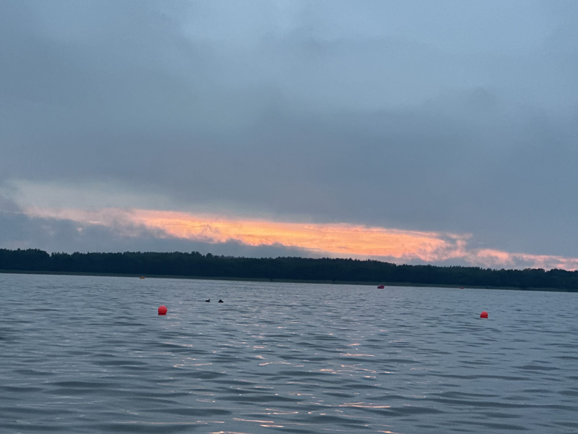 The image depicts a serene lake scene at dusk with a dramatic sky. The water is calm with gentle ripples reflecting the dim light. Several red buoys are scattered across the water, marking an area. In the distance, a dark treeline forms the horizon, separating the water from the sky. The sky itself is a canvas of muted blues and grays, with a vibrant band of orange and pink clouds stretching across the middle, indicating the last rays of sunset. There are two small dark objects in the water that appear to be ducks. The location is not identifiable as Tallinn, Estonia, based solely on the visual information provided in the image.
