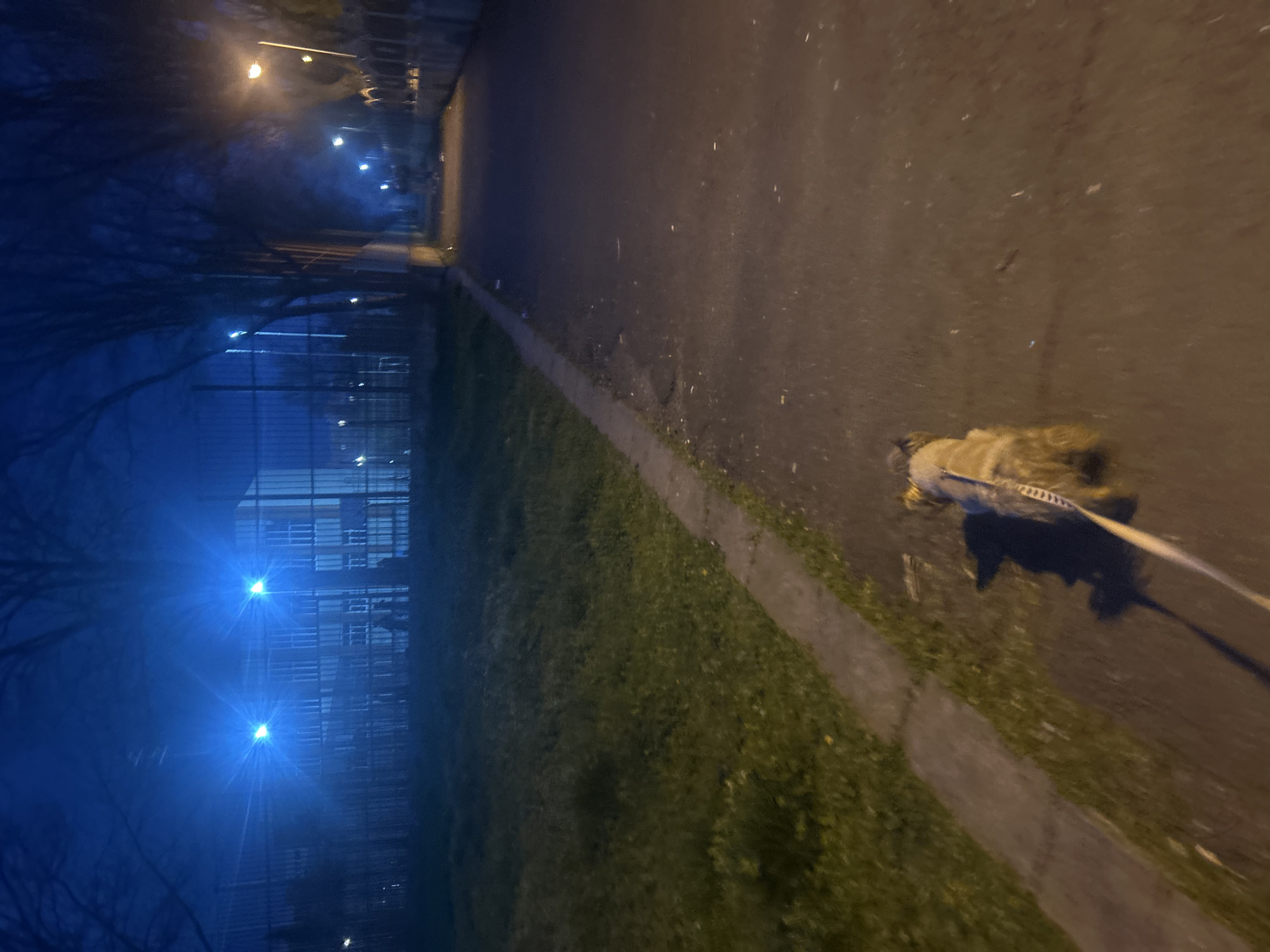The image depicts a night scene on a path in what appears to be a city park or walkway. A dog is being walked on a leash along the right side of the path. The path is illuminated by distant streetlights which produce a soft yellow glow on the pavement and grassy area adjacent to the path. On the left side of the path, there is a fence and possibly buildings or structures. The general appearance suggests the image was taken in a dimly lit area. The blue lighting in the background, coupled with the architectural style and streetlights, suggest the city of Burgas, Bulgaria.