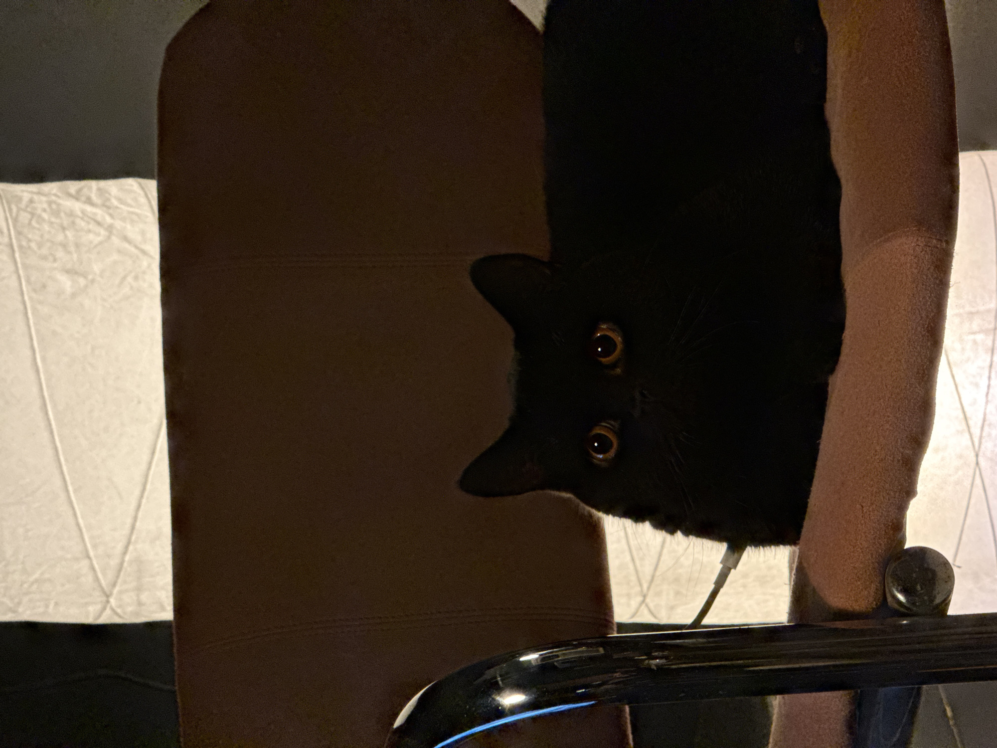 A black cat hangs upside down, its amber eyes staring towards the viewer. The cat is positioned between the padded armrest of a chair, which is covered in textured light pink fabric, and a dark brown chair back with subtle seams. A bright white patterned lampshade is visible in the background. A chrome or metal chair frame is in the foreground, reflecting light. A thin white cable extends from beneath the cat's head. The location and the presence of people are not discernible from the image.