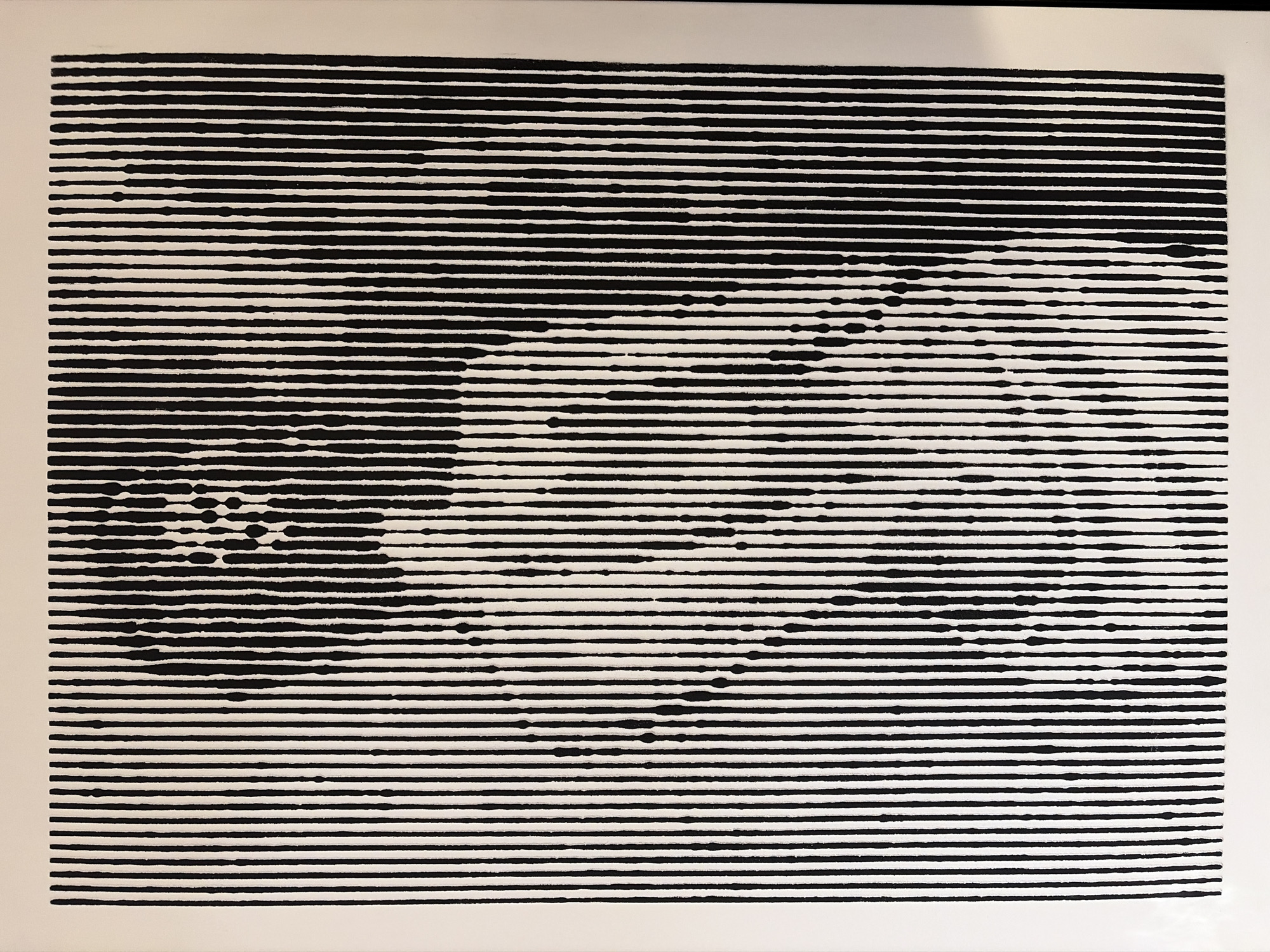 The image depicts an optical illusion portrait of Charles Darwin rendered using horizontal black lines of varying lengths and densities against a white background. The style creates a moiré effect, revealing Darwin's face when viewed from a distance or at a specific angle. The artwork is located in Ipswich, United Kingdom, specifically on the side of the Ipswich Town Hall and Corn Exchange.