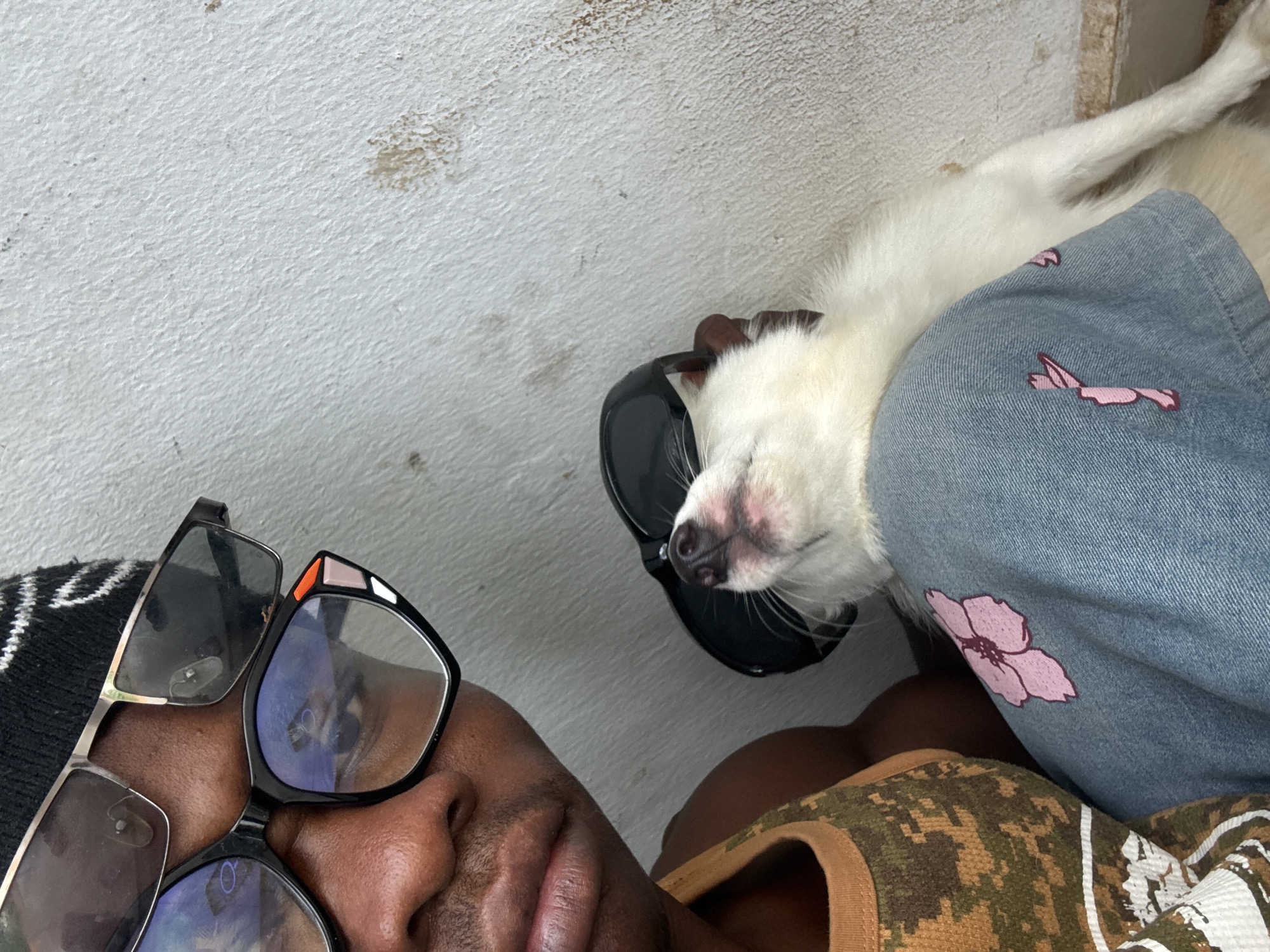 A close-up, overhead shot depicts a person resting, with a white dog also resting on the person's lap or body. The person, located in the lower-left corner of the frame, wears a black and white striped beanie and two pairs of glasses. The dog, a fluffy, white breed, rests its head on a black object, potentially a speaker, and part of its body is on the person's legs, which are clad in denim-like material with floral and abstract designs. The person wears a camouflage top with a brown neckline. A textured, off-white wall is visible in the upper-left corner. The location is presumed to be Ikot Ekpene, Nigeria.