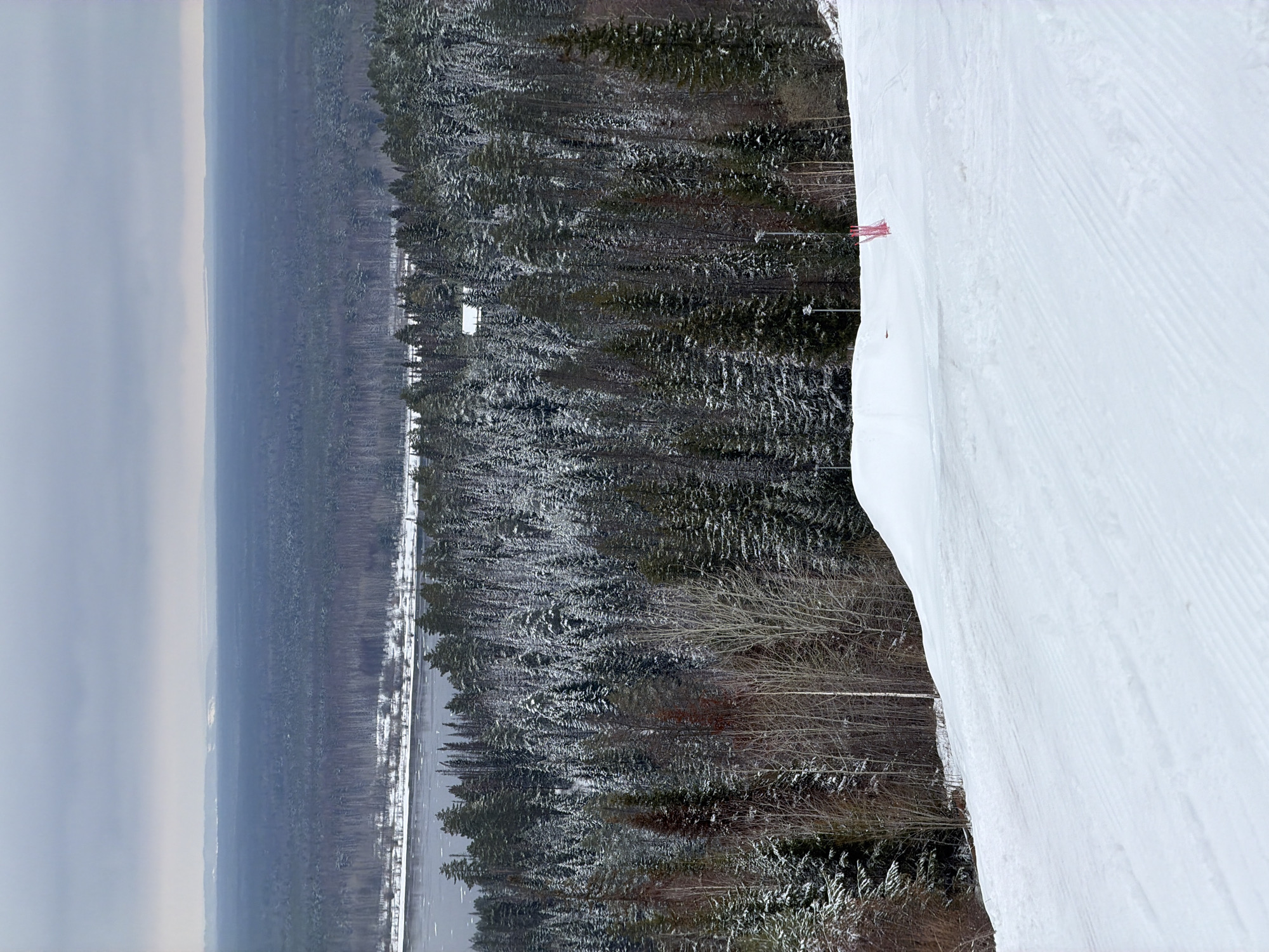 A vertical shot shows a landscape under an overcast sky. Dense rows of snow-dusted trees form a forest stretching across the left side of the frame, with a body of water or road visible through the trees. A broad, snow-covered slope occupies the right side of the image, its surface marked with the parallel tracks of skis or snow grooming equipment. The scene is in Нечкино, Russia, as specified.