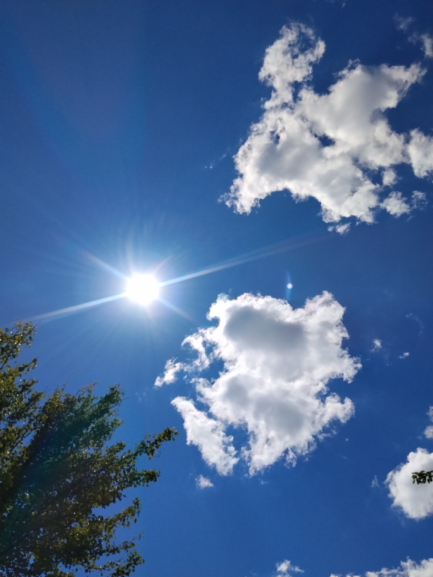 The image depicts a bright, sunny sky with scattered white clouds. The sun is prominently visible as a bright, starburst shape, emitting strong rays. A portion of a green tree with dense foliage is visible in the lower left quadrant, extending upwards into the sky. The sky is a vibrant blue, with some lens flare visible due to the direct sunlight. This scene captures a moment in the city of Ustyvytsia, Ukraine, under clear weather conditions. There are no people or specific actions or interactions depicted.