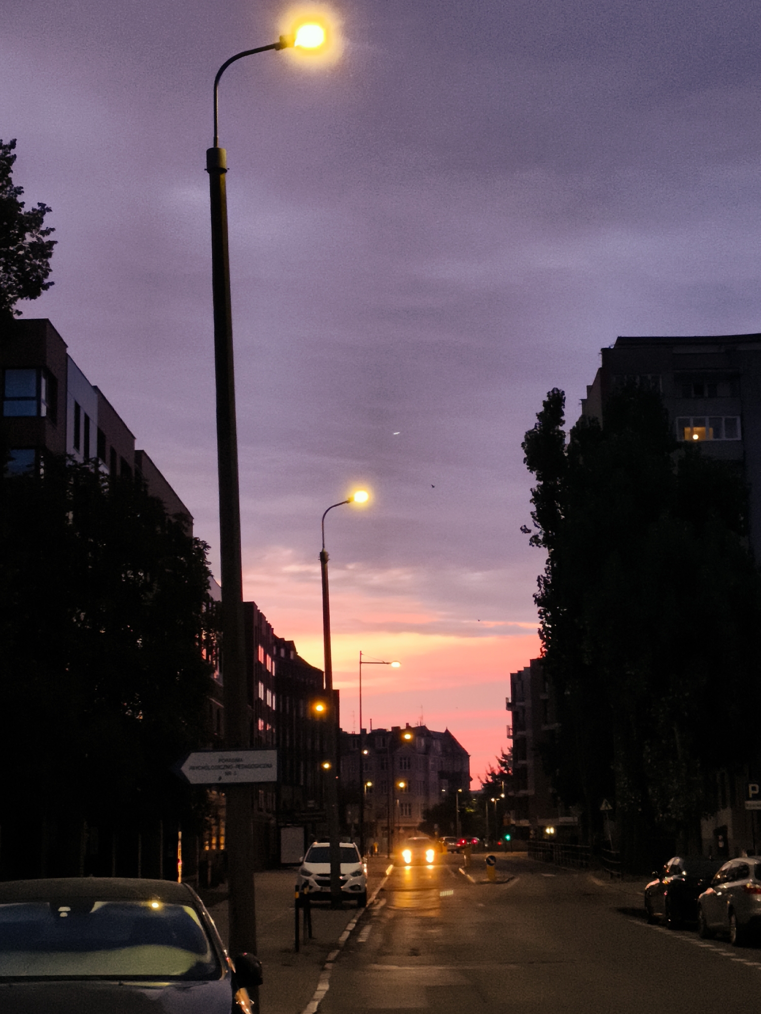 This is a vertical, medium-angle, eye-level shot of a street in the city of Gdańsk, Poland, at dusk. The sky is a deep purple with streaks of pink and orange near the horizon. The street is lined with buildings on both sides, with trees in the foreground on the left. Several streetlights are visible, casting a yellow glow. In the center of the frame, a white car is parked on the right side of the street, and other cars are visible further down the road. A street sign with Polish text is mounted on a pole on the left side of the street. The street surface appears wet, reflecting the lights of the cars and streetlights.