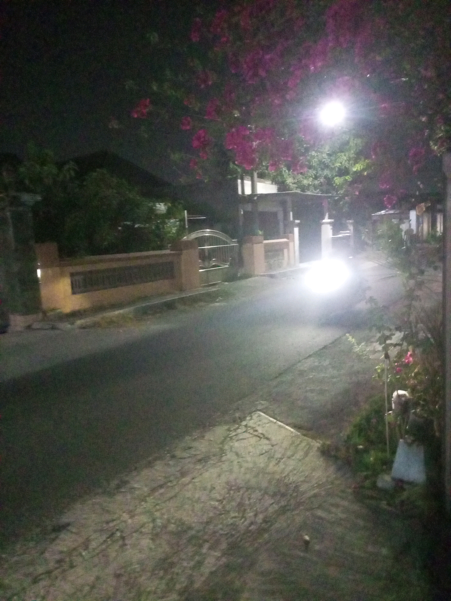 The image depicts a street scene at night in Ngasem, Indonesia, illuminated by a bright street lamp. Pink flowers are visible in the foreground, suggesting they are part of a flowering tree or bush. A road with a concrete sidewalk runs through the scene. On the left side of the road, there is a low wall or fence with a gate. The street is mostly empty, except for a bright light in the distance which could be from a vehicle. The overall impression is of a quiet, residential area at night.