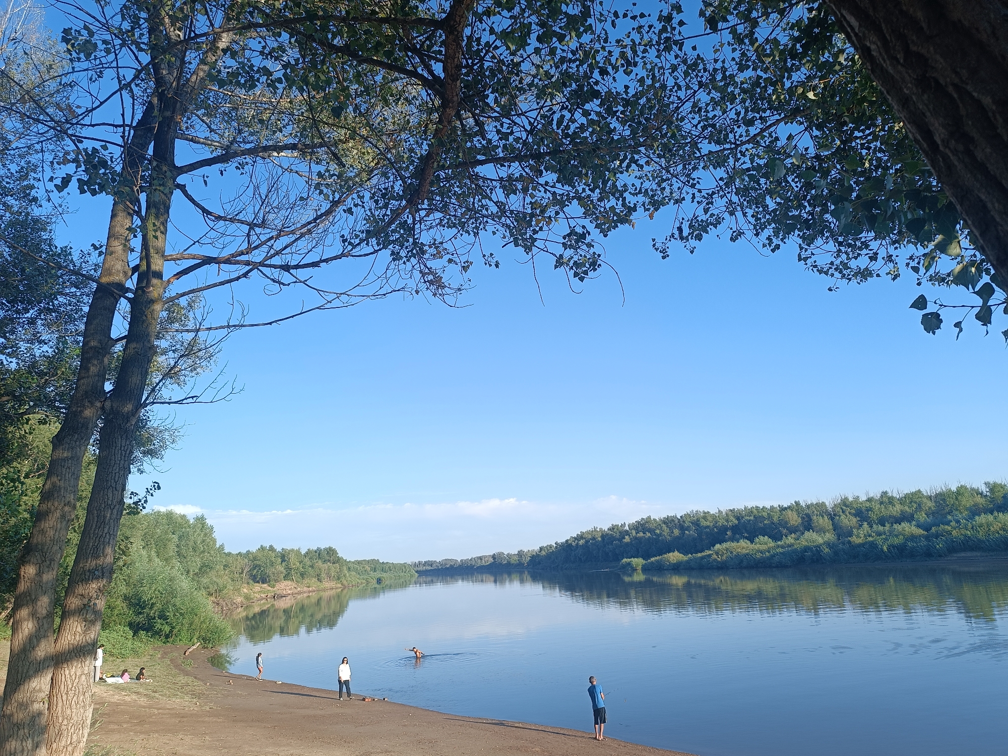 A wide, placid river flows under a clear blue sky, bordered by lush green trees on either side. The riverbank on the left is a sandy, brown area, with several people visible. In the foreground, two large trees stand on the left, their branches extending towards the sky and partially obscuring the view. A few individuals are scattered along the riverbank, some sitting and others standing. One person is in the water, swimming. On the right bank, the trees form a dense, continuous line. The water reflects the sky and the surrounding greenery, creating a serene and tranquil scene. The overall impression is one of a peaceful summer day by the water.