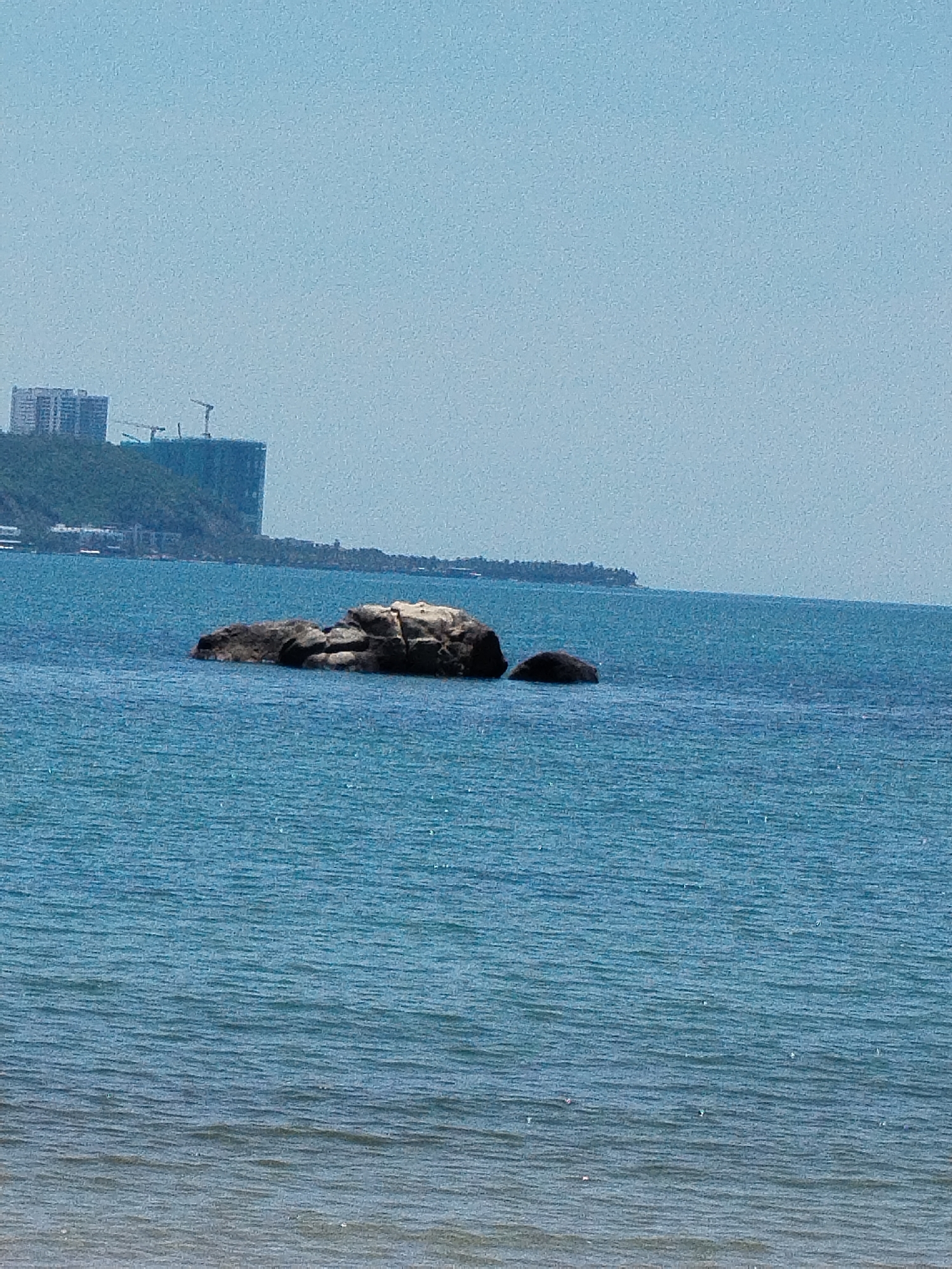 The image depicts a coastal scene in Bac Nha Trang Ward, Vietnam, characterized by a clear blue sky and calm, blue ocean water. In the foreground, gentle waves lap against a sandy shore, not fully visible. Further out in the water, a cluster of dark rocks emerges, with the largest rock having lighter colored patches on its surface. In the mid-ground, a faint outline of a distant island with lush greenery can be seen. The background reveals a hillside densely covered with vegetation, upon which several tall, modern buildings are situated, some appearing to be under construction with visible cranes. The overall impression is one of a developing coastal city with natural elements.