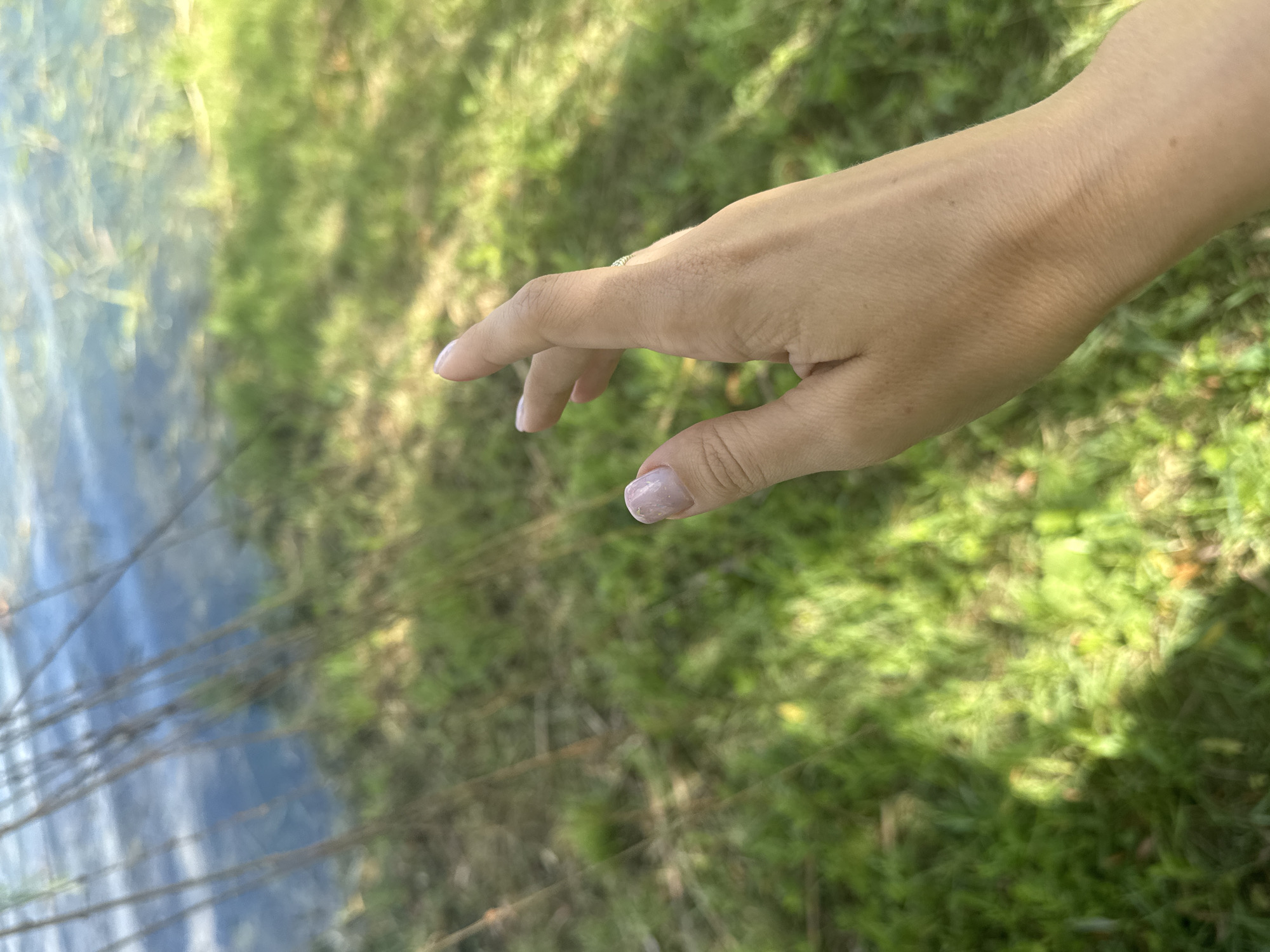 In Mar'yanivka, Ukraine, a close-up shot captures a person's hand reaching out towards a body of water. The hand, with neatly manicured nails, is positioned in the foreground and is the primary subject. Beyond the hand, the scene transitions to a blurred expanse of green grass, dappled with sunlight and shadows, suggesting an outdoor environment. The upper portion of the image features a body of water, its surface reflecting the sky and exhibiting a blueish hue, with thin, dark vertical lines that could be reeds or branches extending into it from an unseen source. The overall impression is one of nature and gentle movement, with the hand seemingly interacting with the elements.