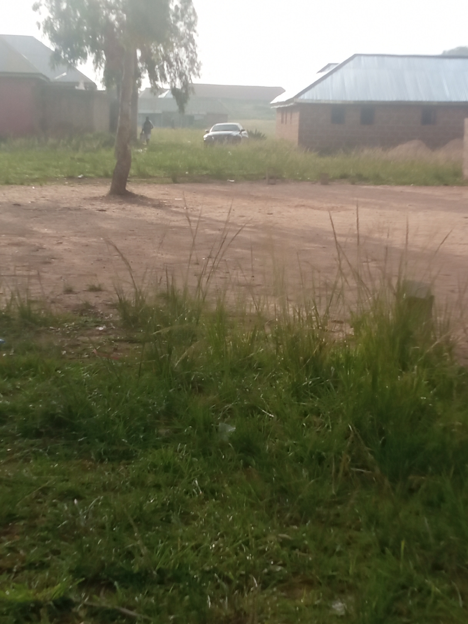 The image depicts an outdoor scene with a dirt path in the foreground and a grassy area beyond. In the background, there are several buildings with corrugated metal roofs and brick walls. A tree with sparse foliage stands to the left of the image. A person is visible walking in the grassy area between the tree and a white car parked further in the background. The sky is overcast, and the overall lighting suggests it may be early morning or late afternoon. The environment appears to be a rural or semi-urban area, possibly a developing neighborhood.