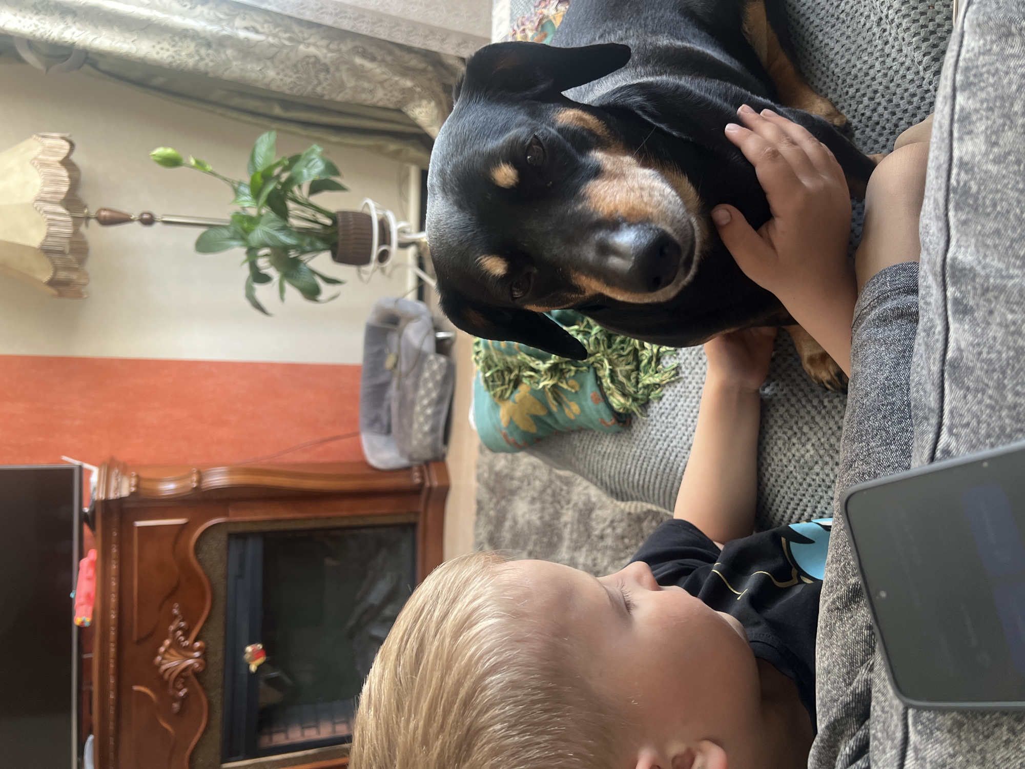 A young fair-haired child wearing a black t-shirt with a blue and white design is lying on a gray textured couch next to a black and tan dog. The child has their hand on the dog's head. The scene is inside a room in Unknown, Unknown. Behind the couch is a green, patterned blanket and a tall lamp with a tan lampshade. To the left, there's an ornate dark wood cabinet with a fireplace insert. A green plant sits on top of the cabinet. The child has a black tablet on their lap.