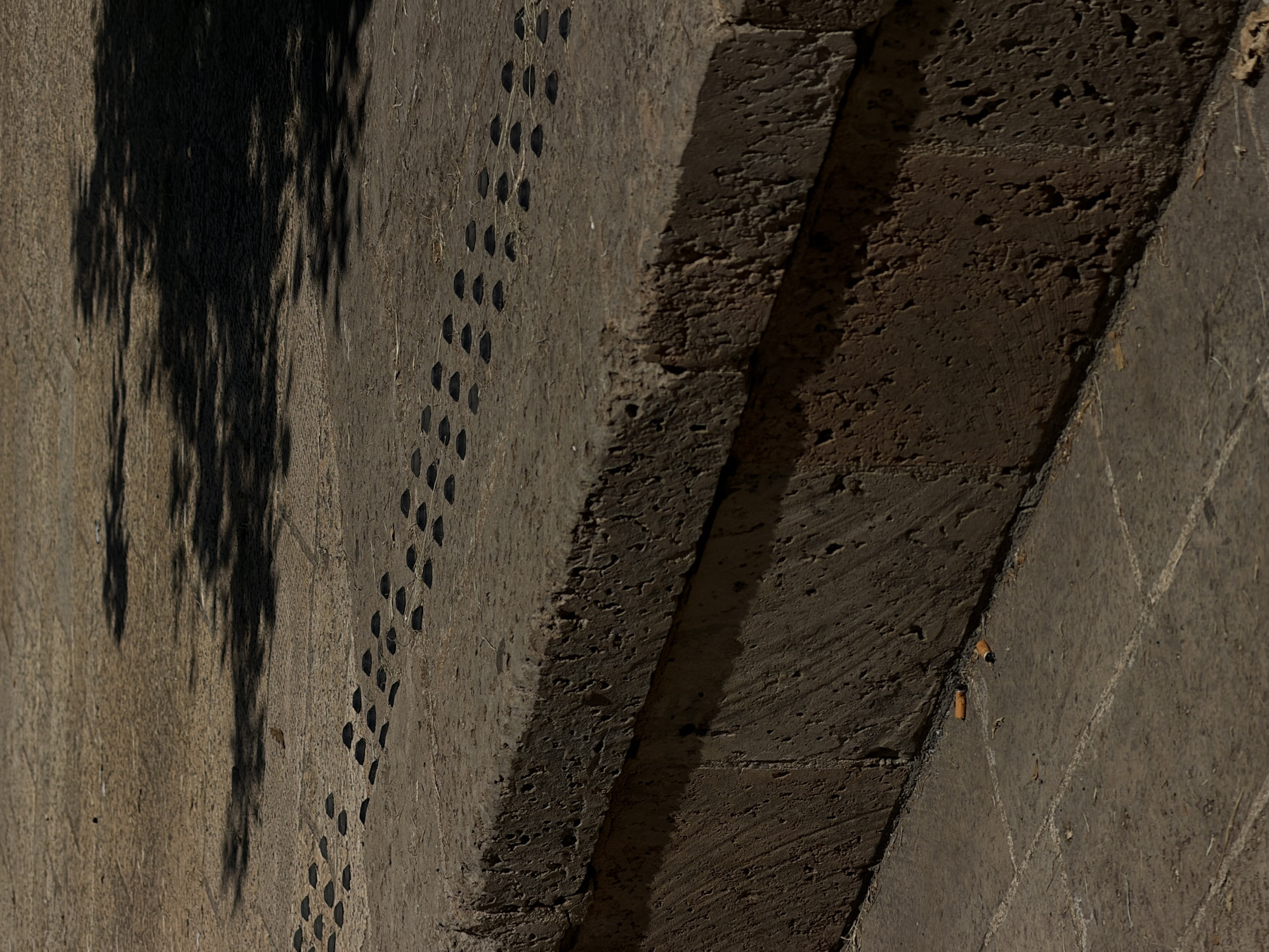 The image depicts a close-up view of a textured stone step in Tel-Aviv, Israel. The step is worn and shows signs of age, with a rough, porous surface. Along the edge of the step, there are several circular indentations, possibly for tactile paving. The ground in front of the step is paved with large stone tiles and is littered with two cigarette butts. A shadow of a tree falls across the ground and the step, indicating it is daytime and the sun is casting shadows. The overall scene is one of an outdoor urban environment, likely a public space.