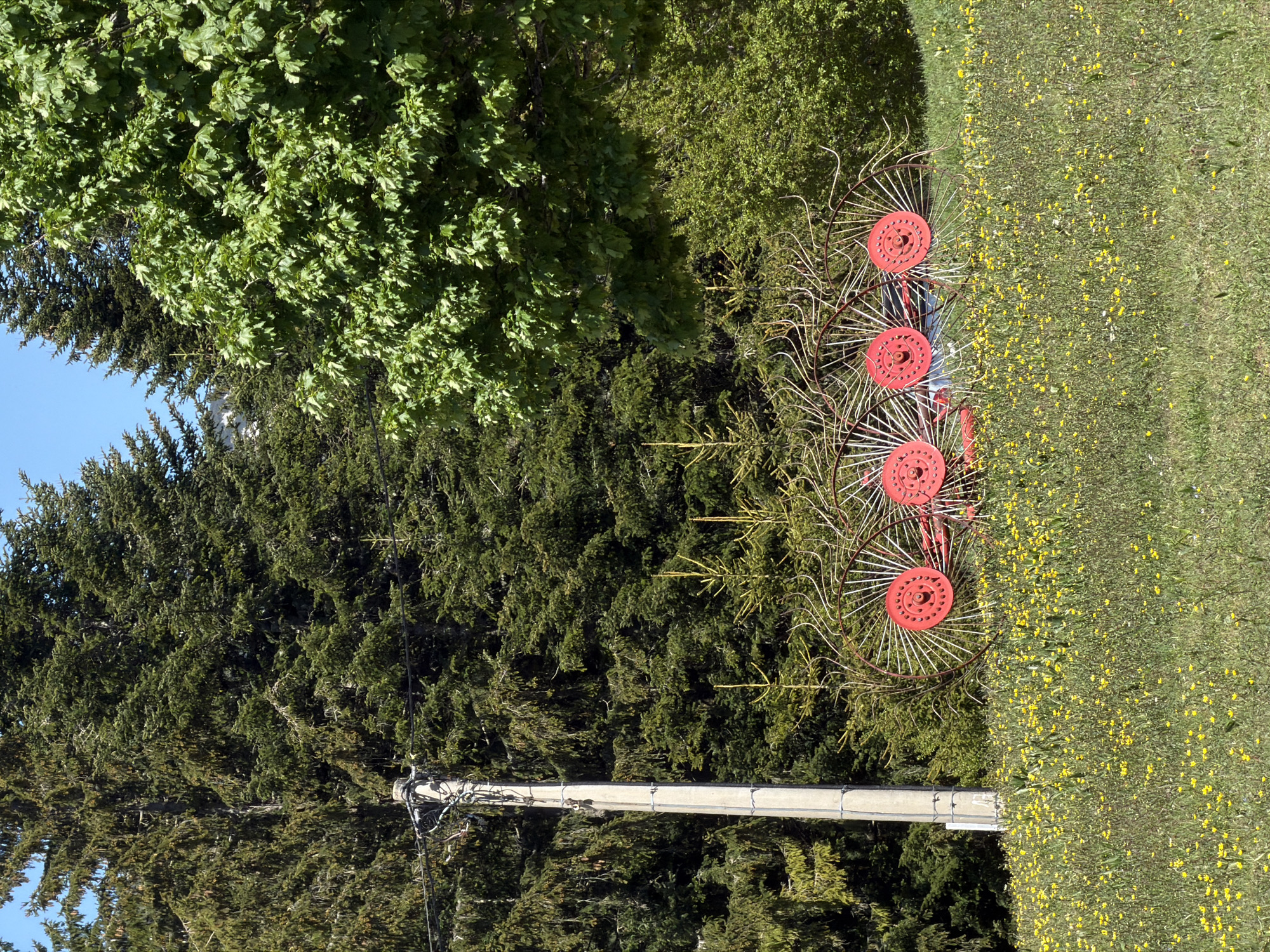 The image shows a grassy field with yellow flowers next to trees. Adjacent to the trees, there is a rusty farm implement with red hubs. In the background, there is a utility pole with wires. The location is Pitomine, Montenegro.
