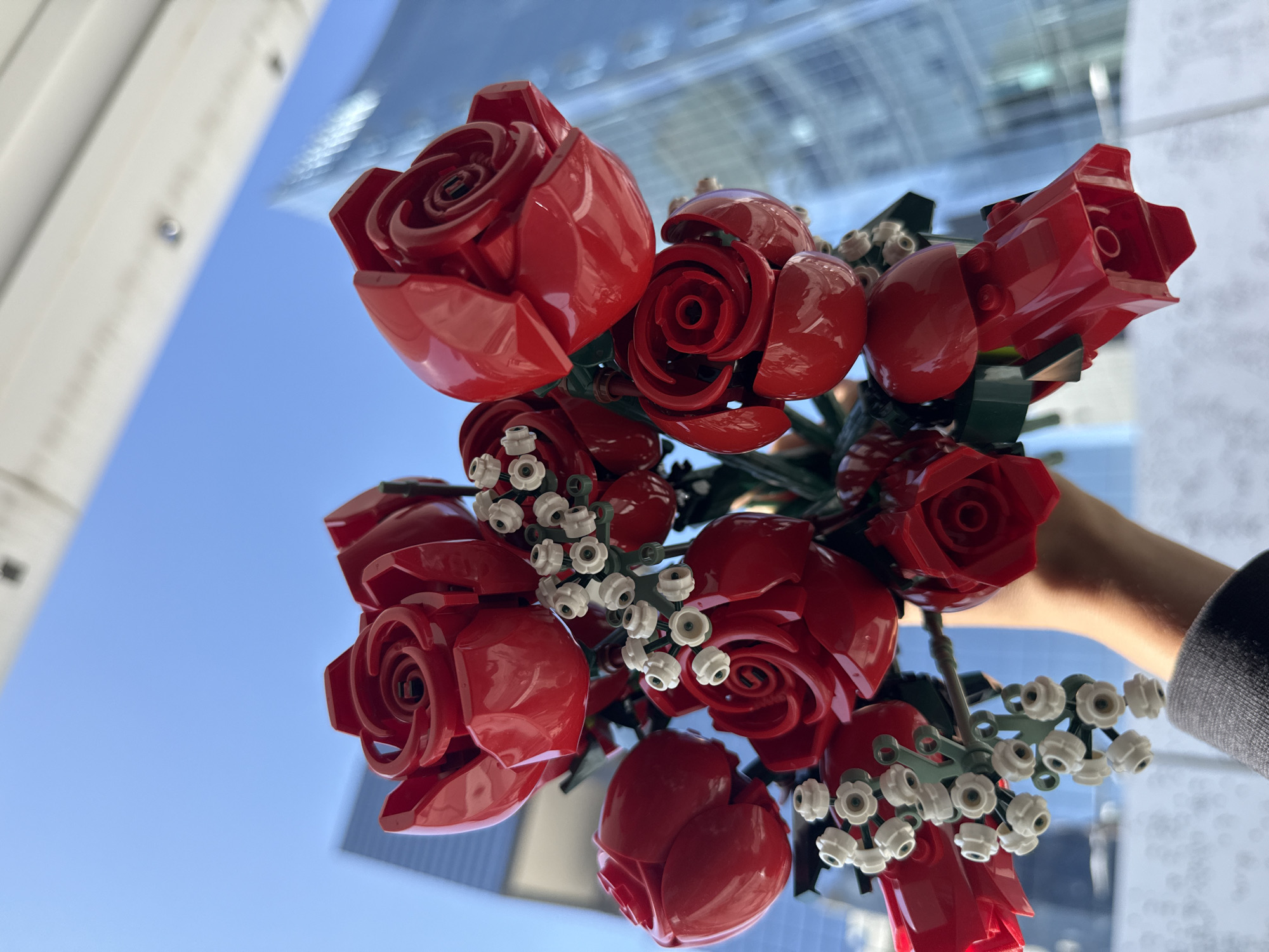 The image showcases a vibrant bouquet of red LEGO roses, interspersed with small white LEGO filler flowers and green leaf elements. A person's arm and hand are partially visible on the right, holding the bouquet up against a clear, bright blue sky. The perspective is from below, looking upwards, suggesting a sunny daytime setting.
In the background, modern architectural elements are prominent. Tall buildings with reflective glass facades are visible, appearing both as reflections and solid structures, hinting at a bustling urban environment. A white architectural structure is also partially seen on the far left. The scene evokes a cheerful atmosphere within a contemporary cityscape, consistent with urban settings found in Puebla, Mexico. No discernible text is present in the image.