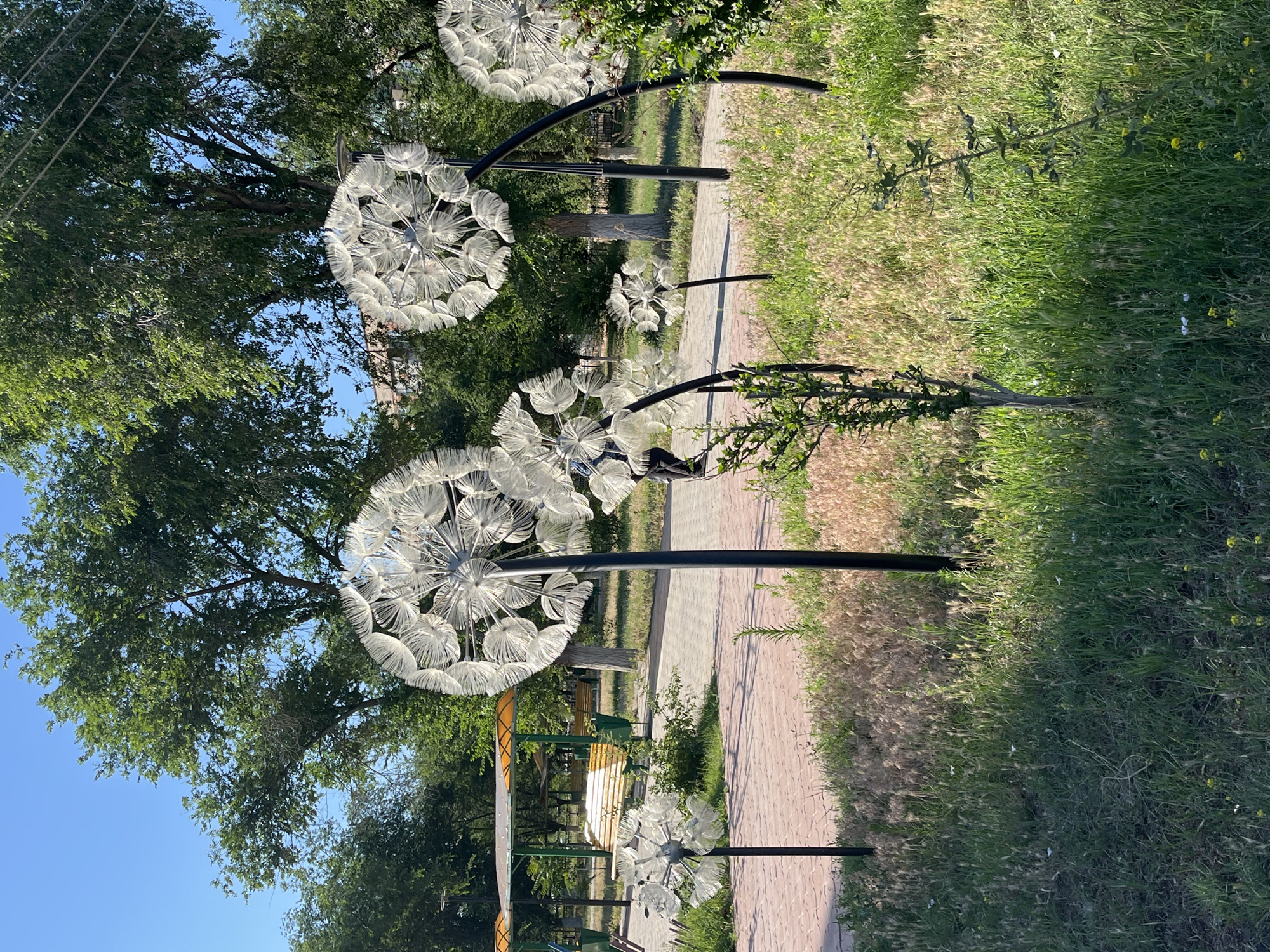 This image shows a park in Krasnyye Barrikady, Russia, featuring large, white dandelion-shaped sculptures. The sculptures are made of thin, transparent materials and stand on black poles. They are positioned in a grassy area with some trees in the background. In the mid-ground, there is a paved pathway, park benches, and a covered seating area with a yellow roof. A person in dark clothing is visible walking on the path behind one of the dandelion sculptures. The sky is clear and blue, indicating a sunny day. The foreground is filled with green grass and some dried weeds.