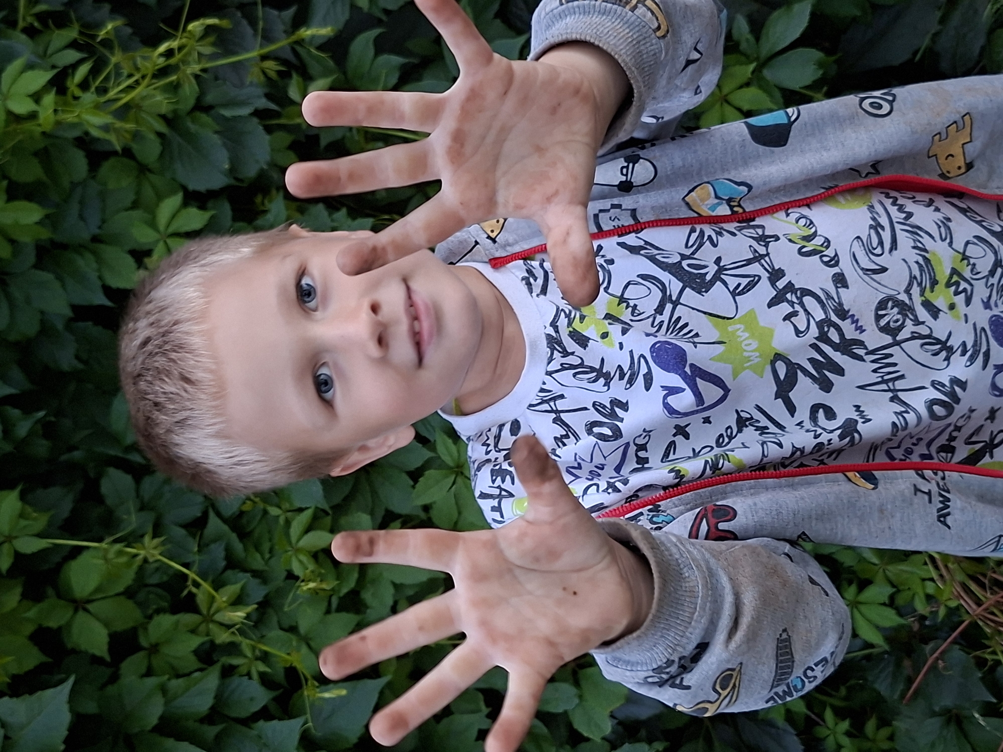In a medium shot, a young Caucasian boy with short blonde hair and blue eyes is centered in the frame, facing the camera. He is standing outdoors against a backdrop of dense green foliage. His hands are raised, palms facing forward, and they are visibly smudged with dirt. The boy is wearing a white t-shirt with a graphic print and a grey hooded jacket with a red zipper. The t-shirt features black and white drawings and text, including the word "WOW" in a yellow speech bubble. The jacket has a repeating pattern of various icons, such as sunglasses and skateboards, in yellow, blue, and black. The background is out of focus, highlighting the boy as the main subject. The lighting suggests it is daytime, with soft natural light.