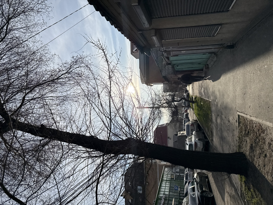 The image depicts a street scene on Budennovsky Avenue in Rostov-on-Don, Russia, viewed from a sidewalk, generally looking south or southwest. The setting is a sunny day, likely in late autumn or winter, given the leafless deciduous trees. The sun, positioned in the upper right quadrant of the frame, casts long, distinct shadows towards the lower left.
In the immediate left foreground, a large, dark-barked deciduous tree with bare branches dominates, partially obscuring a multi-story building. This building features a green-framed storefront with Cyrillic signage, including "ИНСТРУМЕНТЫ" (INSTRUMENTS), "СТРОЙМАТЕРИАЛЫ" (BUILDING MATERIALS), and "ПАРУС" (PARUS), along with a blue "P" parking sign. A paved street runs parallel to the sidewalk, lined with numerous parked cars, predominantly sedans and SUVs of various colors. Additional vehicles are visible in the distance on the street.
On the right side of the image, a paved sidewalk extends into the background. A lone individual, dressed in dark clothing, is walking away from the camera along this sidewalk, their elongated shadow stretching out before them. Adjacent to the sidewalk is a row of older, low-rise buildings with light-colored facades. Several storefronts or windows on these buildings are covered by closed roller shutters. Green corrugated metal fencing is visible between some of these structures. Overhead utility lines are visible against the sky. In the far distance, a building displaying "ROSTELECOM" on its roofline is discernible. The sky is light blue with scattered thin white clouds, and bright sunlight causes a noticeable lens flare.