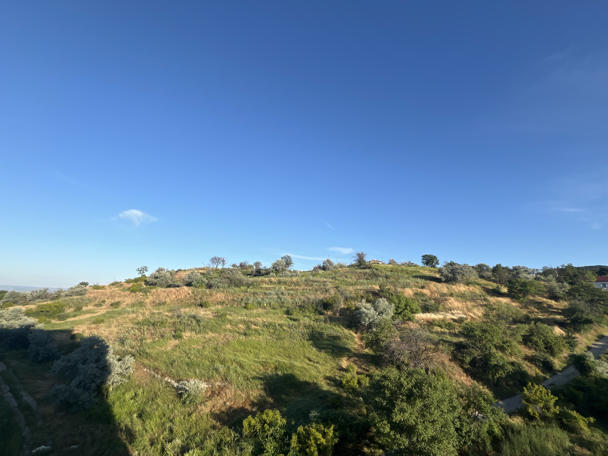 The image depicts a natural landscape with a rolling hill covered in dry grass and scattered trees under a clear blue sky. The hill is a mix of dry, golden-brown vegetation and patches of green grass, indicating a warm climate. Small bushes and trees are dotted across the slope, with some appearing to be deciduous and others evergreen. The terrain is uneven, with visible soil erosion in some areas.
In the upper portion of the hill, a few small houses or structures with red roofs are visible, suggesting a residential area or outskirts of a settlement. A dirt road or path winds its way up the hill and along the right side of the image, bordered by greenery. The foreground shows a steep, shadowed slope covered in dense green vegetation, casting a dark shadow across the scene, suggesting the photo was taken from a higher vantage point.
The overall impression is one of a dry, sunny day in a natural, undeveloped area, possibly on the outskirts of Varna, Bulgaria, given the vegetation type and the presence of buildings on the hillside. The scene is static, with no people or animals present. The lighting suggests it is either early morning or late afternoon due to the long shadows.