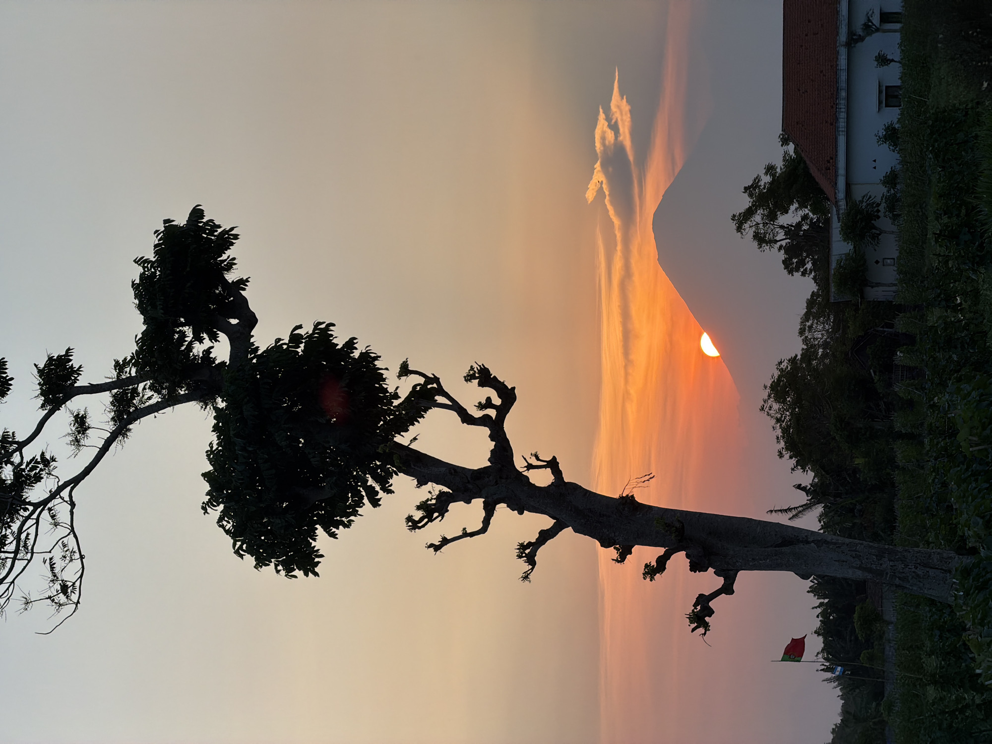 The image depicts a sunset scene in Wotgalih, Indonesia, with a prominent silhouetted tree in the foreground. The sun, a bright orange orb, is setting behind a hazy mountain peak. A few clouds are visible in the sky, tinged with the colors of the sunset. To the right of the mountain, a house with a reddish-brown tiled roof is partially visible amidst greenery. A flag, appearing to be the flag of Portugal, is planted in the ground to the left of the tree. The landscape is characterized by lush vegetation and a calm, serene atmosphere.