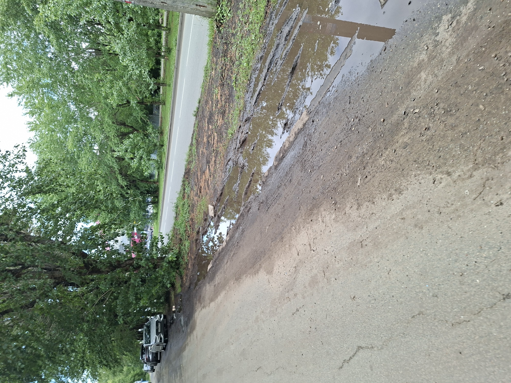 The image depicts a roadside scene in Kazan, Russia, characterized by a muddy shoulder adjacent to a paved road. Several cars are parked along the tree-lined side of the road. The shoulder is covered in mud and contains several large puddles, indicating recent rainfall or poor drainage. The road itself appears to be a multi-lane thoroughfare with white lane markings. Trees with lush green foliage line the opposite side of the road, creating a canopy effect. The sky is overcast, contributing to the subdued lighting of the scene. The overall impression is one of a functional urban environment impacted by weather conditions.