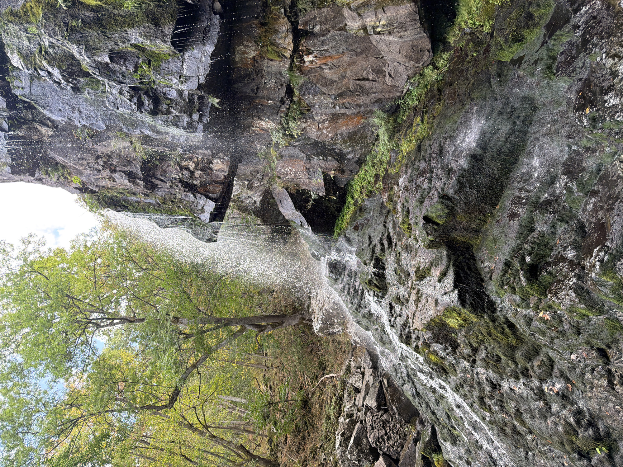 The image captures a natural waterfall cascading down a rocky cliff face within a forest setting. The waterfall itself is comprised of numerous small streams of water, creating a spray and mist as it tumbles over moss-covered rocks and stone ledges. The cliff face is rugged, with exposed rock formations showing varying shades of brown and grey, interspersed with patches of vibrant green moss and some sparse vegetation.
To the left of the waterfall, a lush green tree stands tall, its leaves catching the light. The surrounding forest is dense with trees, their foliage exhibiting a mix of green and autumnal yellow hues, indicating a possible transition into the fall season. The ground is covered with rocks and fallen leaves, further contributing to the wild, natural environment.
The scene is a depiction of a natural landscape, likely a park or natural reserve. Given that the query specifically asks for a location in Sofia, Bulgaria, this image could represent a waterfall within one of Sofia's natural areas, such as the Vitosha Mountain or any of the numerous parks and green spaces that feature natural elements. However, without explicit landmarks or signage, pinpointing the exact location within Sofia is not possible based solely on the visual information provided. The image conveys a sense of natural beauty and tranquility. There are no people or animals visible in the frame.