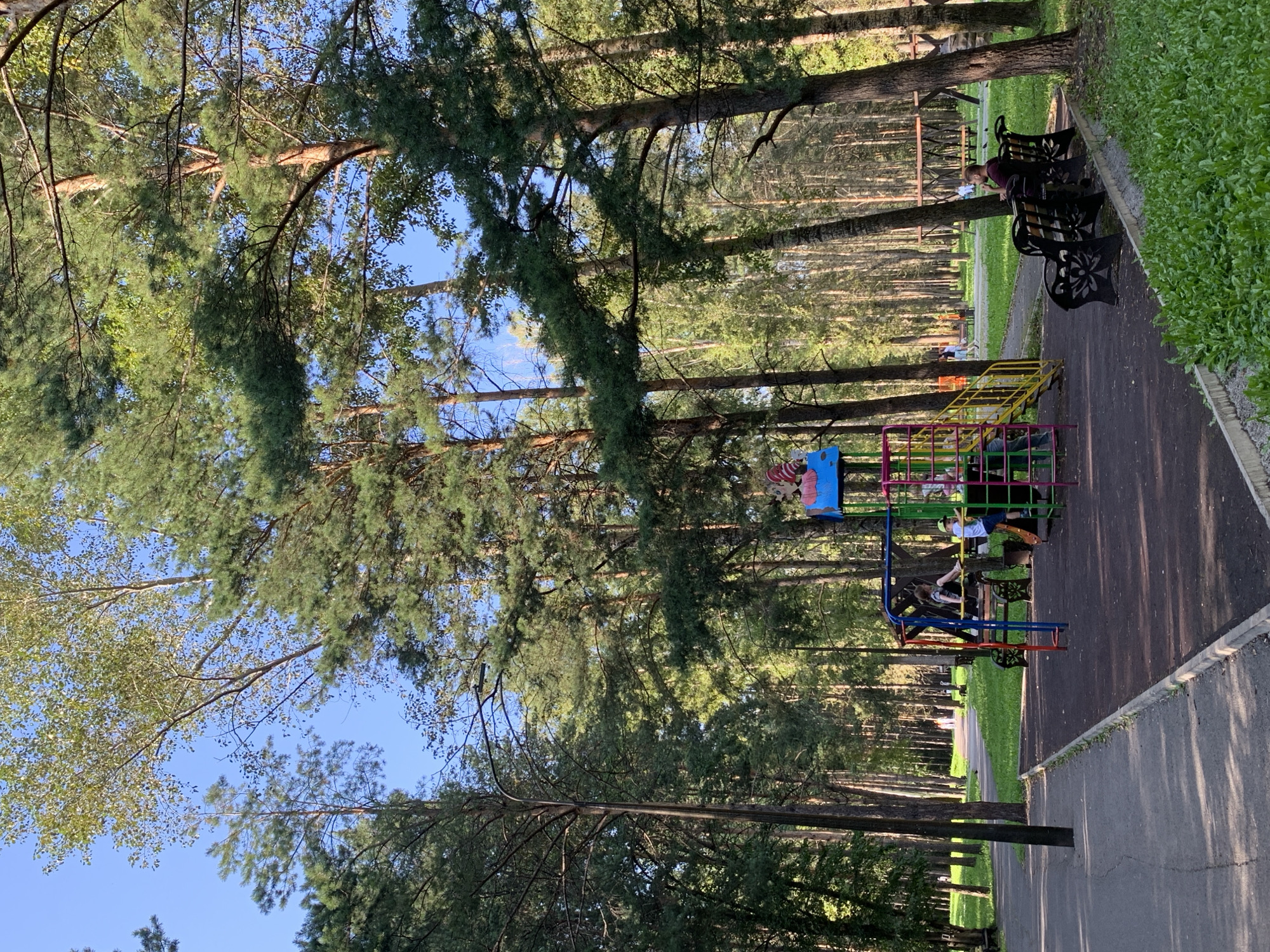 The image depicts a playground in a park in Prokopyevsk, Russia. A children's playground structure, painted in primary colors, stands in the foreground. Two children are visible on the playground. To the right of the playground, a man sits on a dark metal bench, facing away from the camera. Behind the playground, a path winds through a forest of pine and birch trees. Several other people are scattered throughout the park, some walking on the path and others in the distance. The sky is clear and blue. The overall scene suggests a sunny day in a public park.