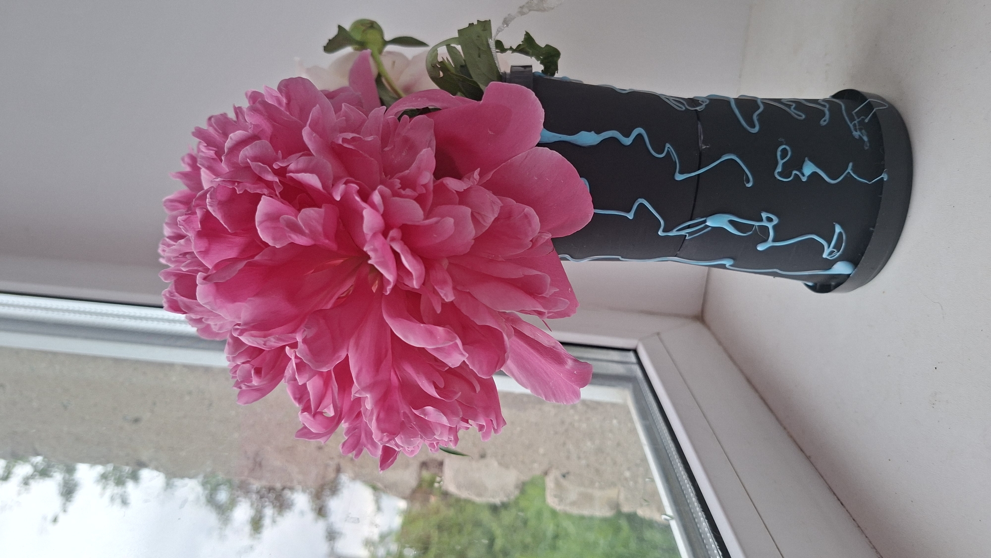 A close-up, eye-level shot captures a vibrant pink peony in a black vase with light blue decorative swirls. The vase sits on a white windowsill, with a window to the left revealing a blurred background of green foliage and a cloudy sky. The lighting is soft and diffused, creating a slightly overcast atmosphere. No people are visible in the image. The scene appears to be indoors, likely in a residential setting within Забалоцкі сельскі Савет, Belarus, though no specific urban landmarks are identifiable.