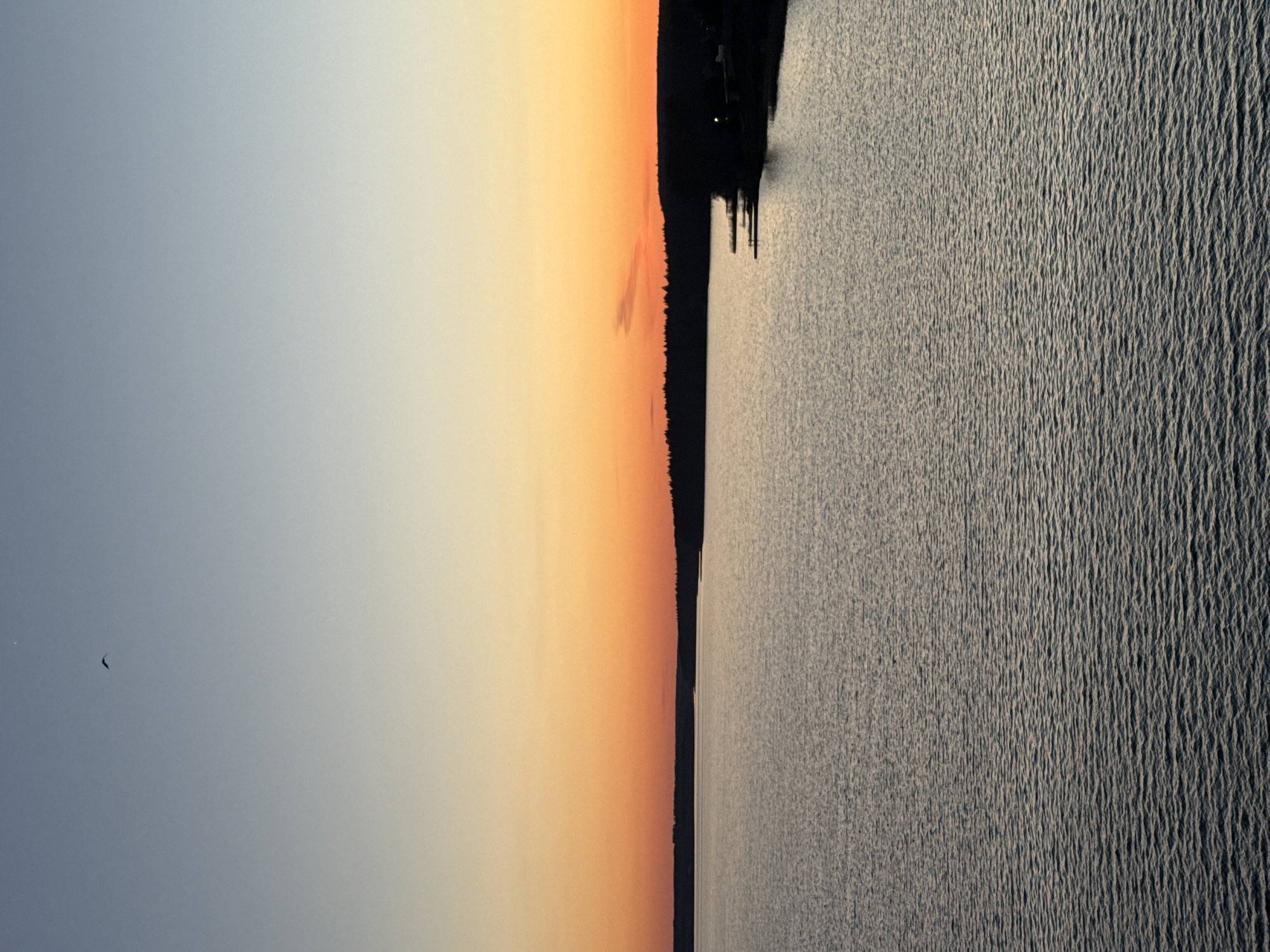 The image shows a body of water under a sky transitioning from blue to orange, suggesting either sunrise or sunset. A dark line of trees or land is visible on the horizon, dividing the sky from the water. In the water, textures indicate ripples or small waves. A small dark object is visible in the sky, potentially a bird. Based on the prompt, the location is likely Votkinsk, Russia, suggesting this is a view of the Votkinsk reservoir. The image portrays a tranquil, natural setting.