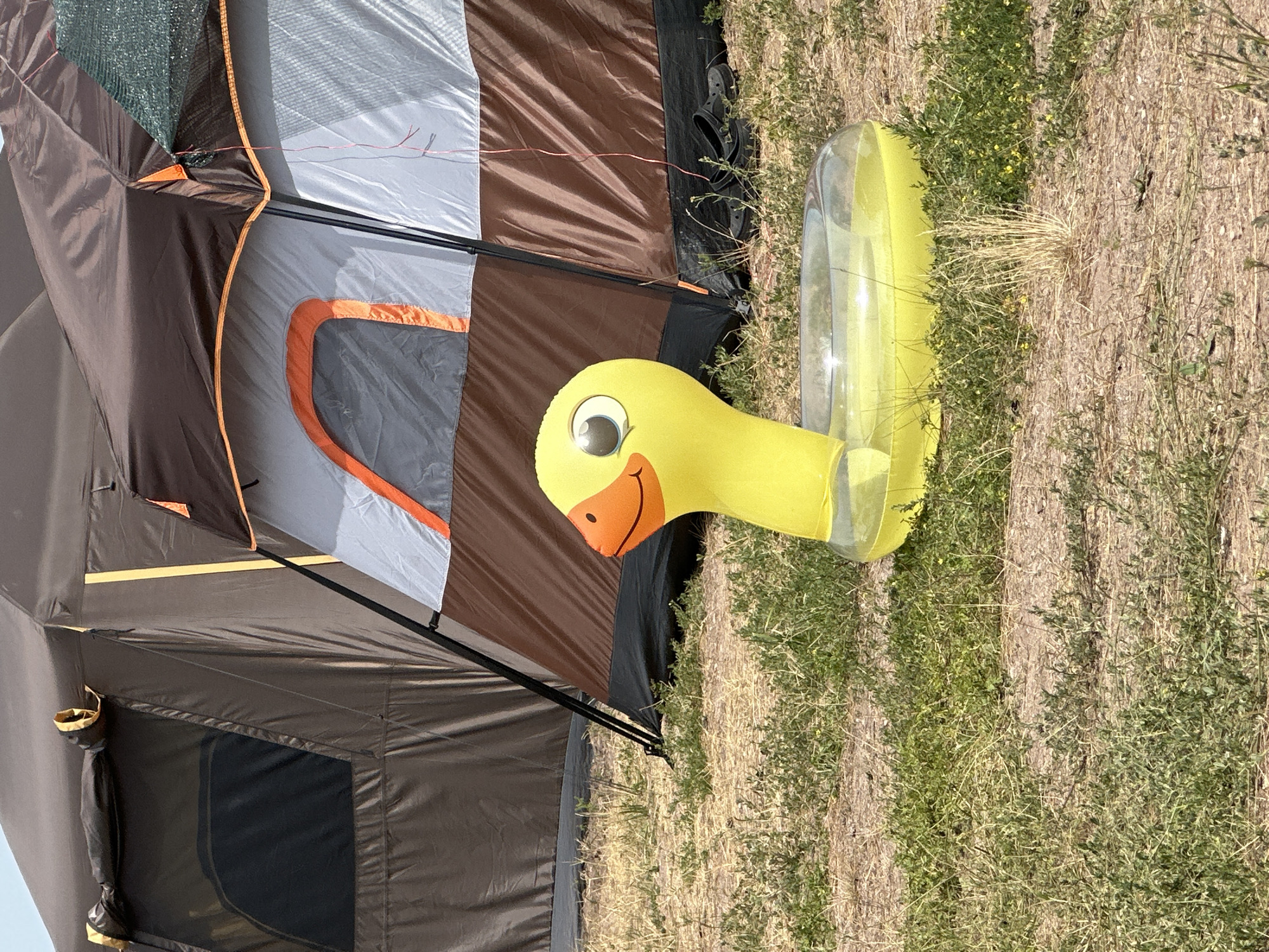 The image shows a yellow inflatable duck toy with a clear ring float in front of a large tent. The tent is dark brown with orange trim and has a window on the left side. The ground is covered in dry grass and some scattered green vegetation. There are a pair of black shoes visible near the base of the tent. The scene appears to be outdoors, possibly in a campground or a rural area. The lighting suggests it is daytime. The specific location in the city of Kolodezny, Russia cannot be determined from the visual information alone.
