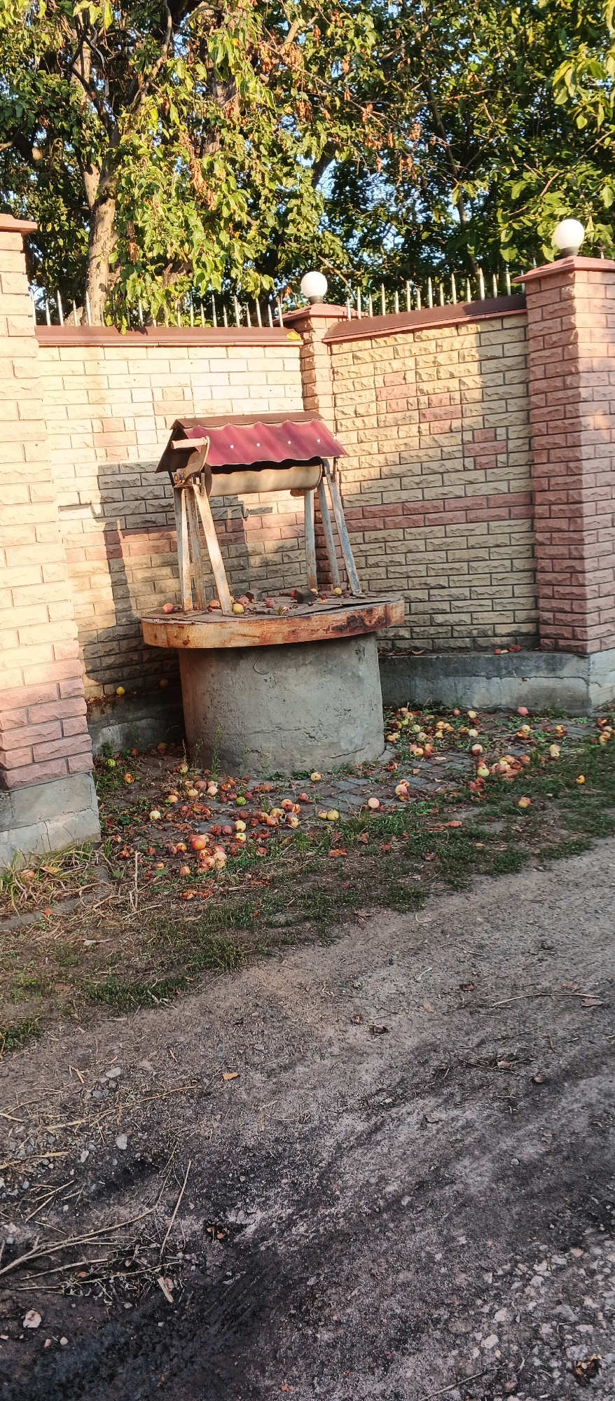 The image depicts an outdoor scene in Smila, Ukraine. In the foreground, a dirt path with tire tracks is visible. To the left of the path is a patch of dry grass and dirt. Dominating the center of the image is an old, concrete well with a rusty metal mechanism for drawing water. The well is surrounded by a scattering of fallen apples, some of which appear to be bruised or rotten. Behind the well, a brick wall made of light beige and reddish-brown bricks forms a backdrop. A tree with green and brown foliage stands to the left of the wall, with its branches extending over the top. The wall is topped with a decorative metal fence and posts with small, white lights. The lighting suggests it is either early morning or late afternoon. There are no people or animals visible in the image.