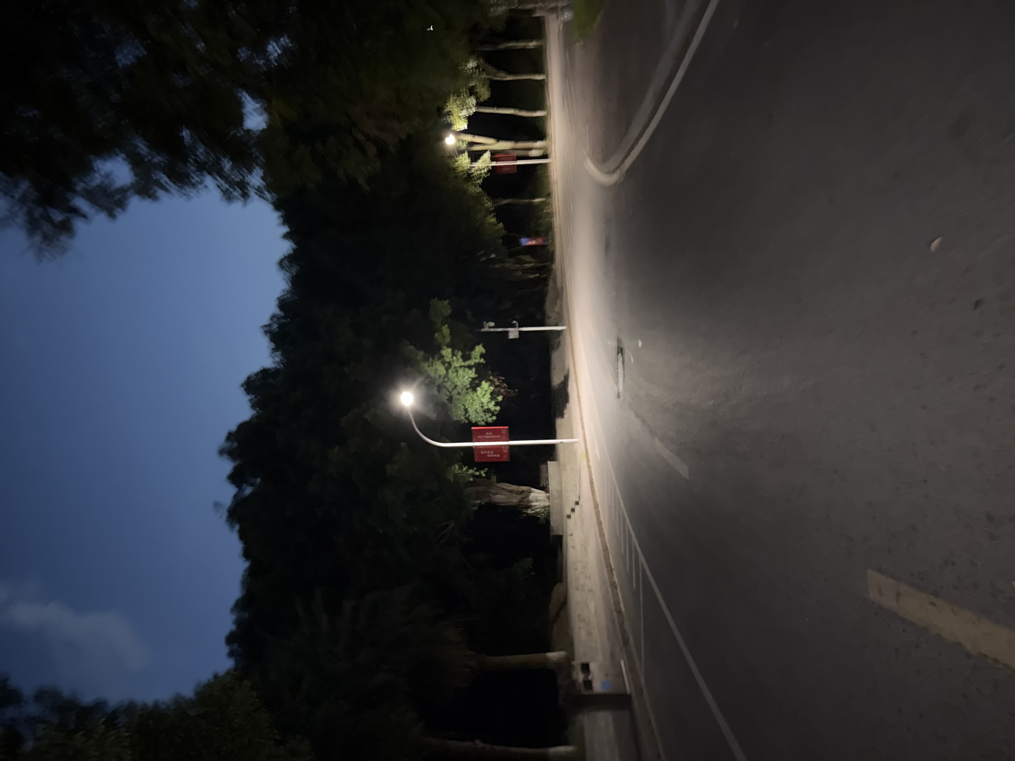 The image shows a road at dusk in Jiangjin, China. The road curves to the right and is lined with trees on both sides. Streetlights illuminate the road, casting a warm glow. The sky is a deep blue, with a few wisps of clouds visible. There are no people or vehicles in the image. The scene appears to be a quiet and serene evening in a park-like setting within the city.