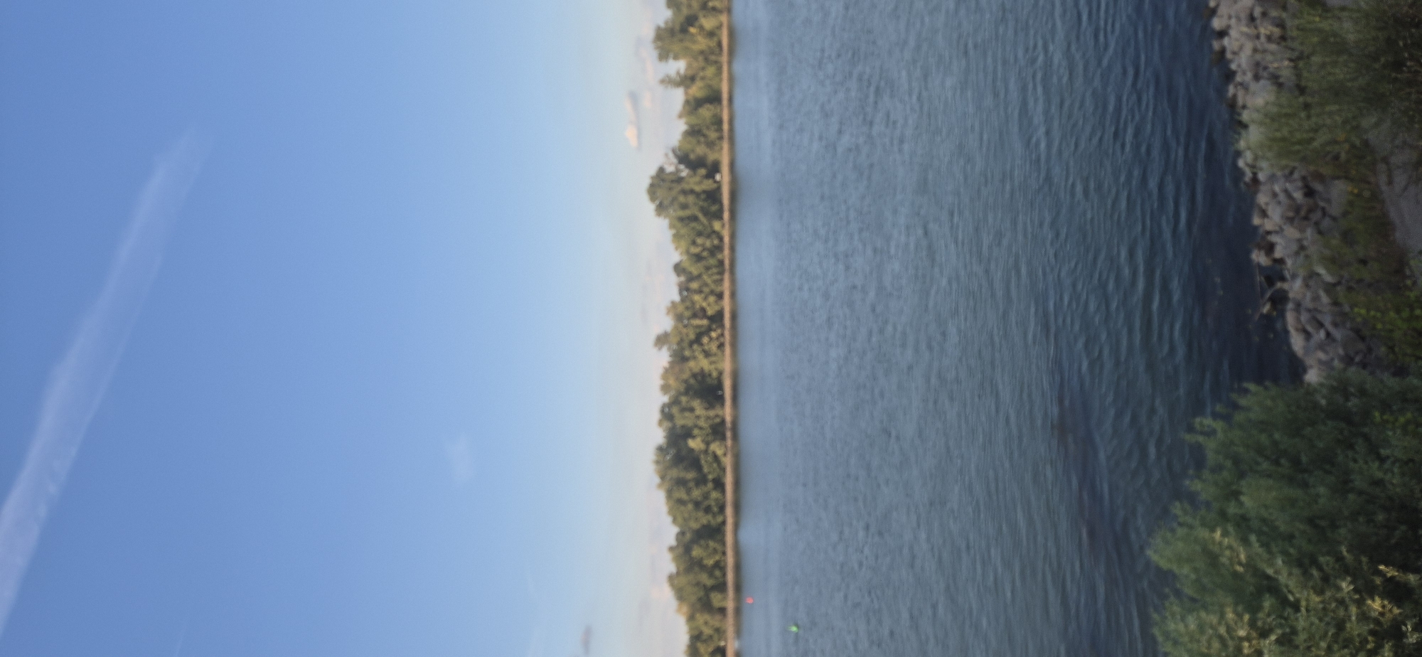 This is a vertical, medium-distance photograph of the Rhine River in Mainz, Germany, on a clear day. The sky is a vibrant blue with a faint wispy white cloud stretching diagonally from the upper left to the upper right. Below the sky, a dense line of lush green trees forms the distant bank of the river. The trees appear to be deciduous, with a variety of heights and foliage densities. The Rhine River occupies the middle and lower portions of the frame, its surface a deep blue-green with subtle ripples indicating a gentle current. In the foreground, a rocky embankment lines the lower edge of the scene, interspersed with patches of green foliage. Two buoys are visible in the river; a red one to the left of center and a smaller green one slightly to its left. The overall impression is a serene and natural landscape.