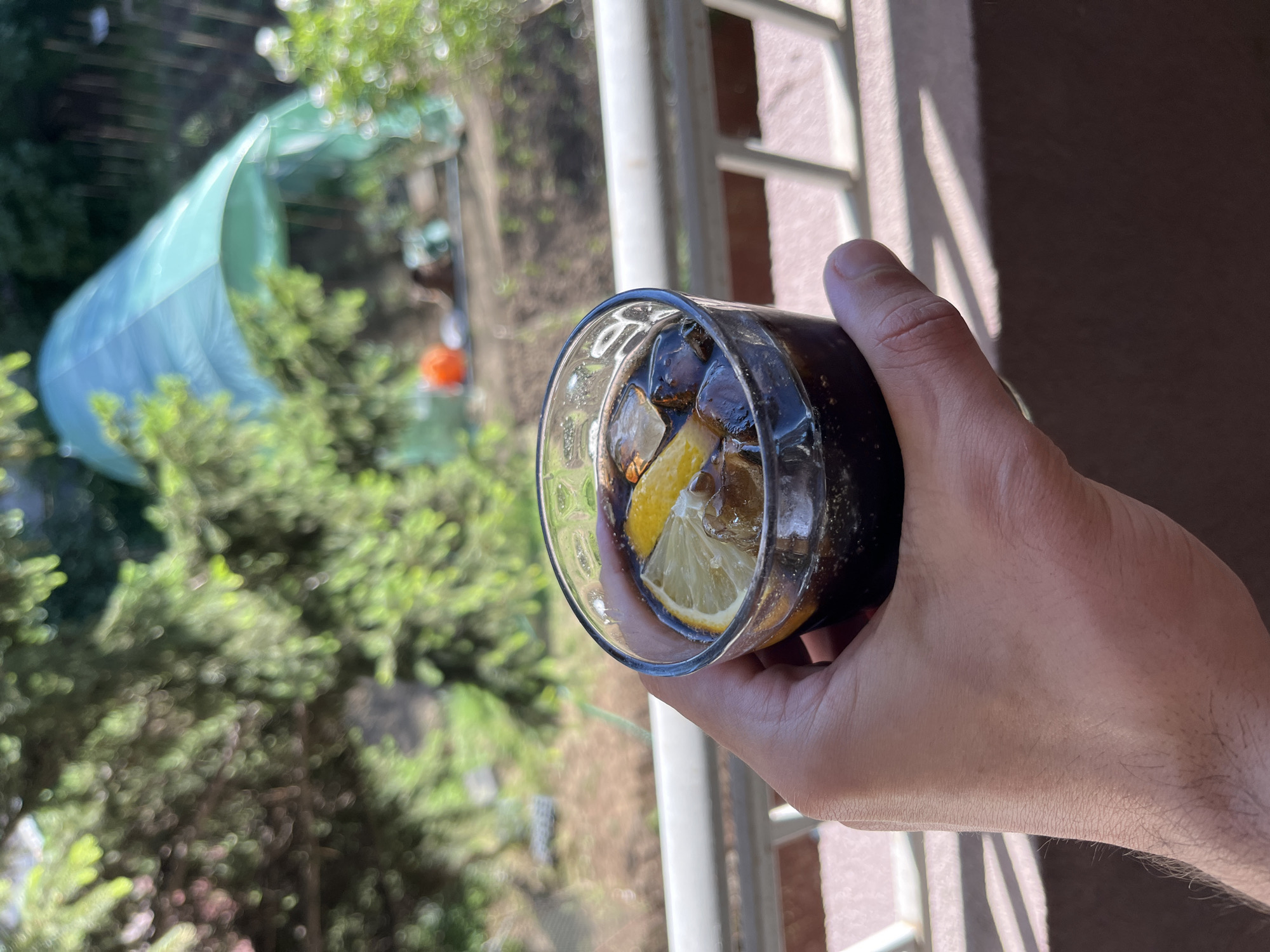 A close-up shot shows a hand holding a glass of dark soda with ice and a lemon slice. The background, slightly out of focus, reveals a garden scene with trees and a green structure, possibly a greenhouse, under a bright sky. The image appears to be taken outdoors on a sunny day. The setting of Sofia, Bulgaria, is not discernible from the visual information provided in the image.