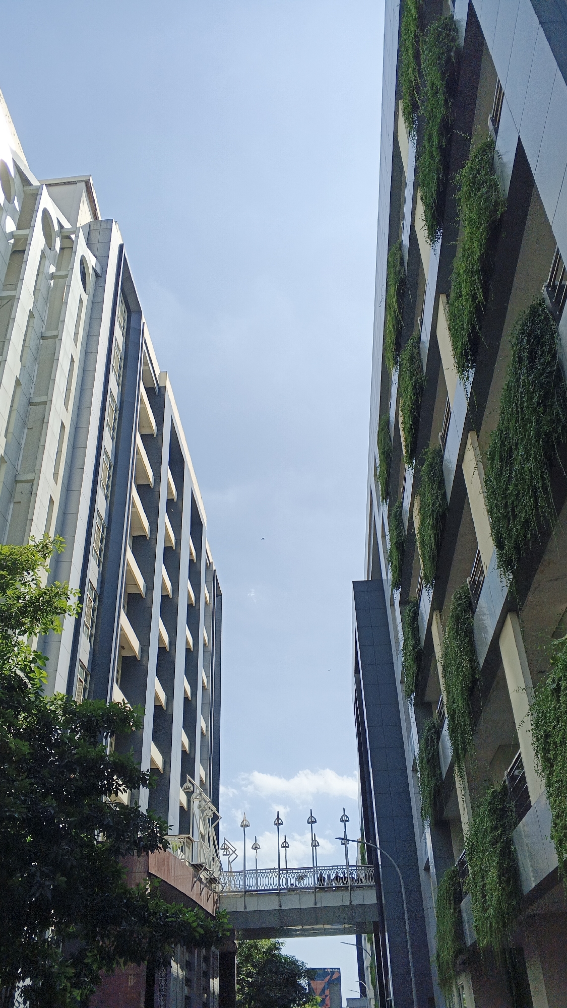 The image shows two modern buildings with a sky bridge connecting them. The building on the left has a light-colored facade with repetitive arched windows. The building on the right is darker, with a facade adorned with hanging green plants cascading down several levels. The sky bridge is visible in the middle ground, featuring a decorative railing and several lampposts. A few individuals can be seen walking on the sky bridge. Green trees are present in the foreground, partially obscuring the lower portions of the buildings. The sky is light blue with scattered clouds. The scene suggests an urban environment in Banguntapan, Indonesia.