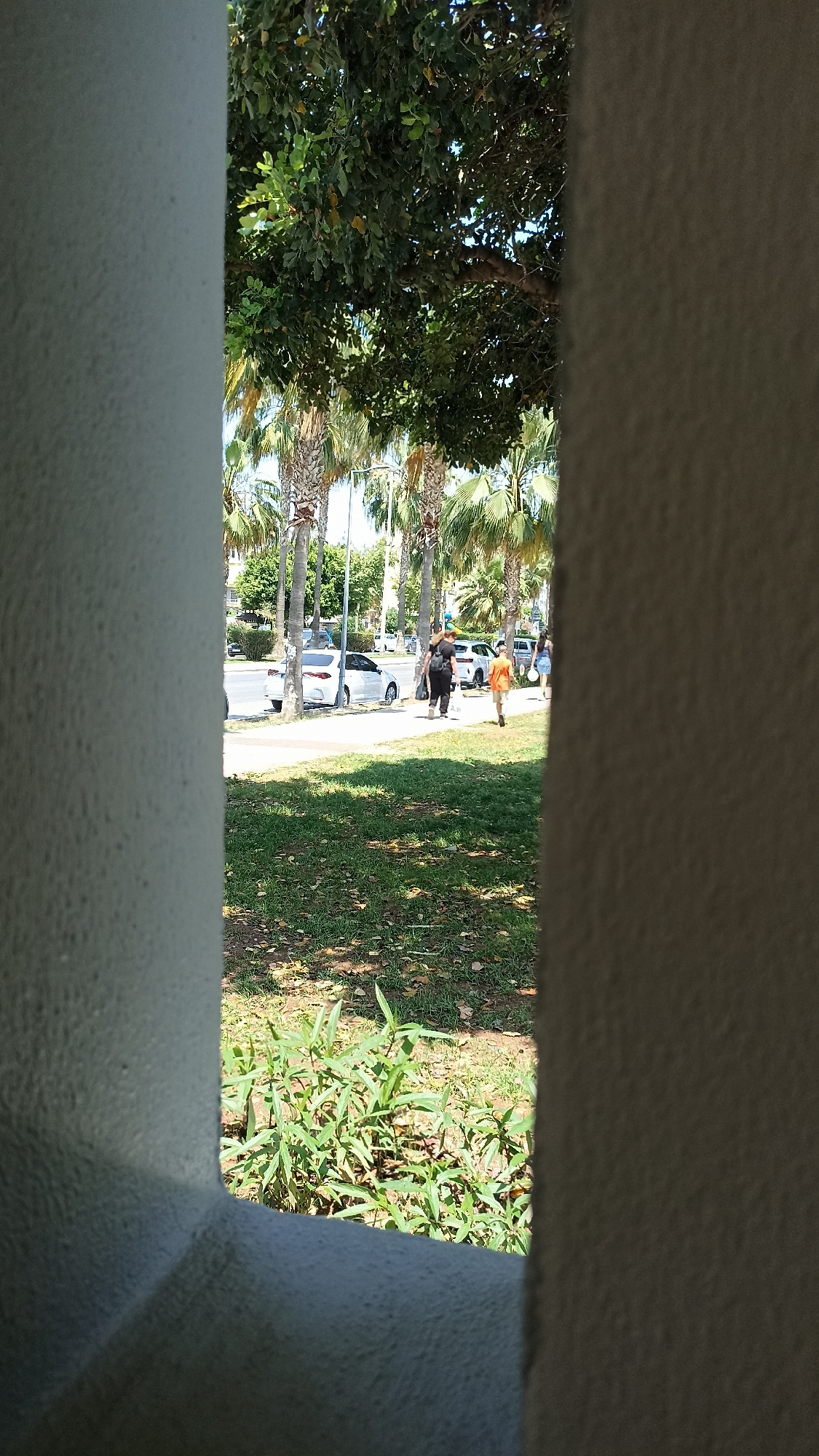 This image captures an outdoor scene in Yenişehir, Turkey, viewed through a narrow, vertical opening, framed by textured light grey/white walls on both sides. The lighting suggests a bright, sunny day, casting distinct shadows on the ground.
The scene reveals a street or boulevard lined with a mixture of tall palm trees and other lush deciduous trees. Several cars are parked along the curb, including a prominent white sedan on the left side of the road. A paved sidewalk runs alongside the street, where people are seen walking. Visible figures include an adult in dark clothing accompanied by a child in an orange t-shirt, walking away from the viewer. Other partial figures are visible further down the sidewalk.
In the mid-ground, a green grassy area extends between the viewer and the sidewalk, dotted with fallen leaves and some sparse vegetation. In the immediate foreground, a patch of green plants with elongated leaves is visible, growing on the grassy ground. The overall setting is a verdant urban environment, likely a park or a green belt adjacent to a street, bustling with pedestrians and parked vehicles. There is no visible text in the image.