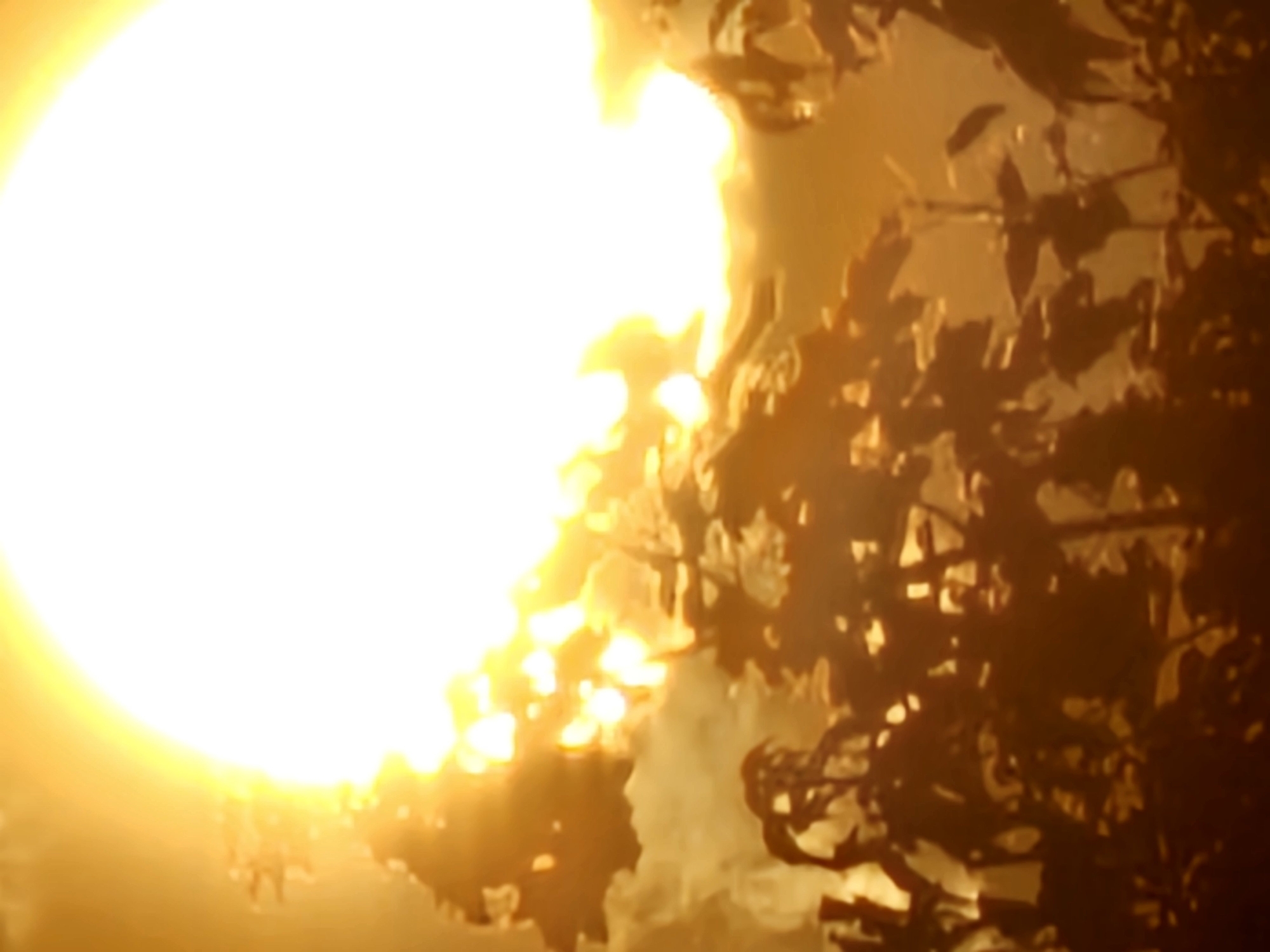 The image shows a bright, fiery explosion or intense light source, possibly the sun setting or a large fire, illuminating clouds and silhouetted foliage. The scene is predominantly bright yellow and orange, with a stark contrast between the light and the dark foreground. The silhouetted plants in the foreground appear to be trees or large bushes. There are no people or discernible objects other than the natural elements and the bright light source. The overall impression is one of intense heat and light.